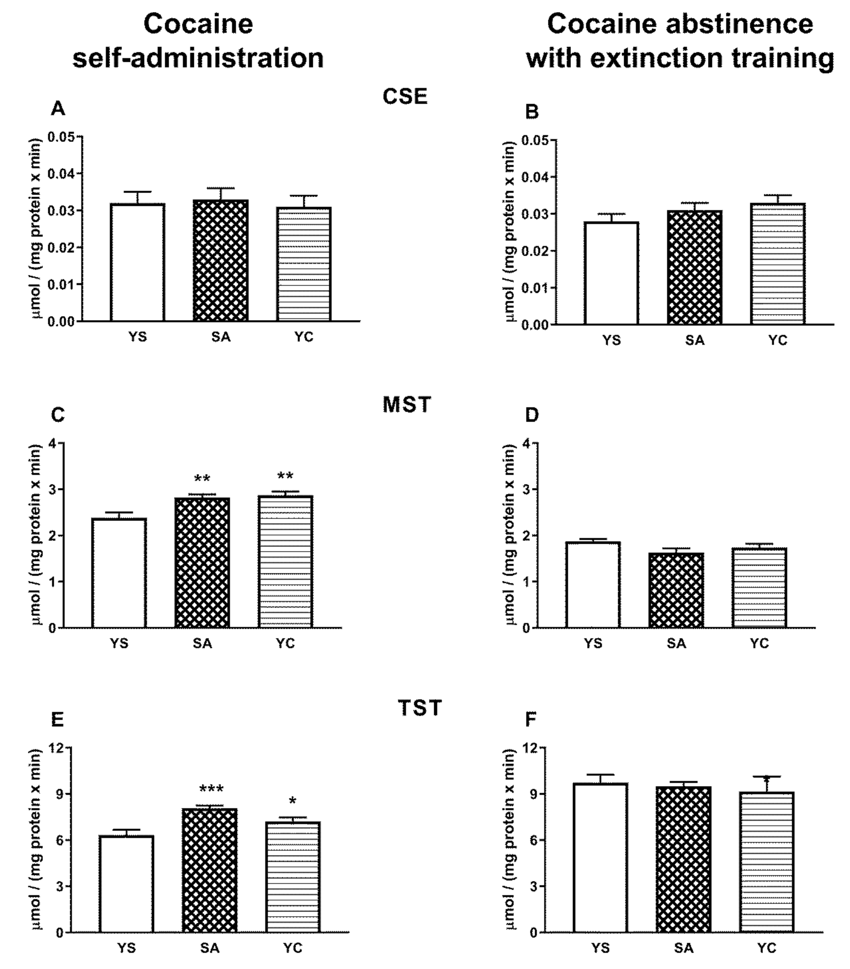 Antioxidants 10 00074 g006 Antioxidants 10 00074 g006