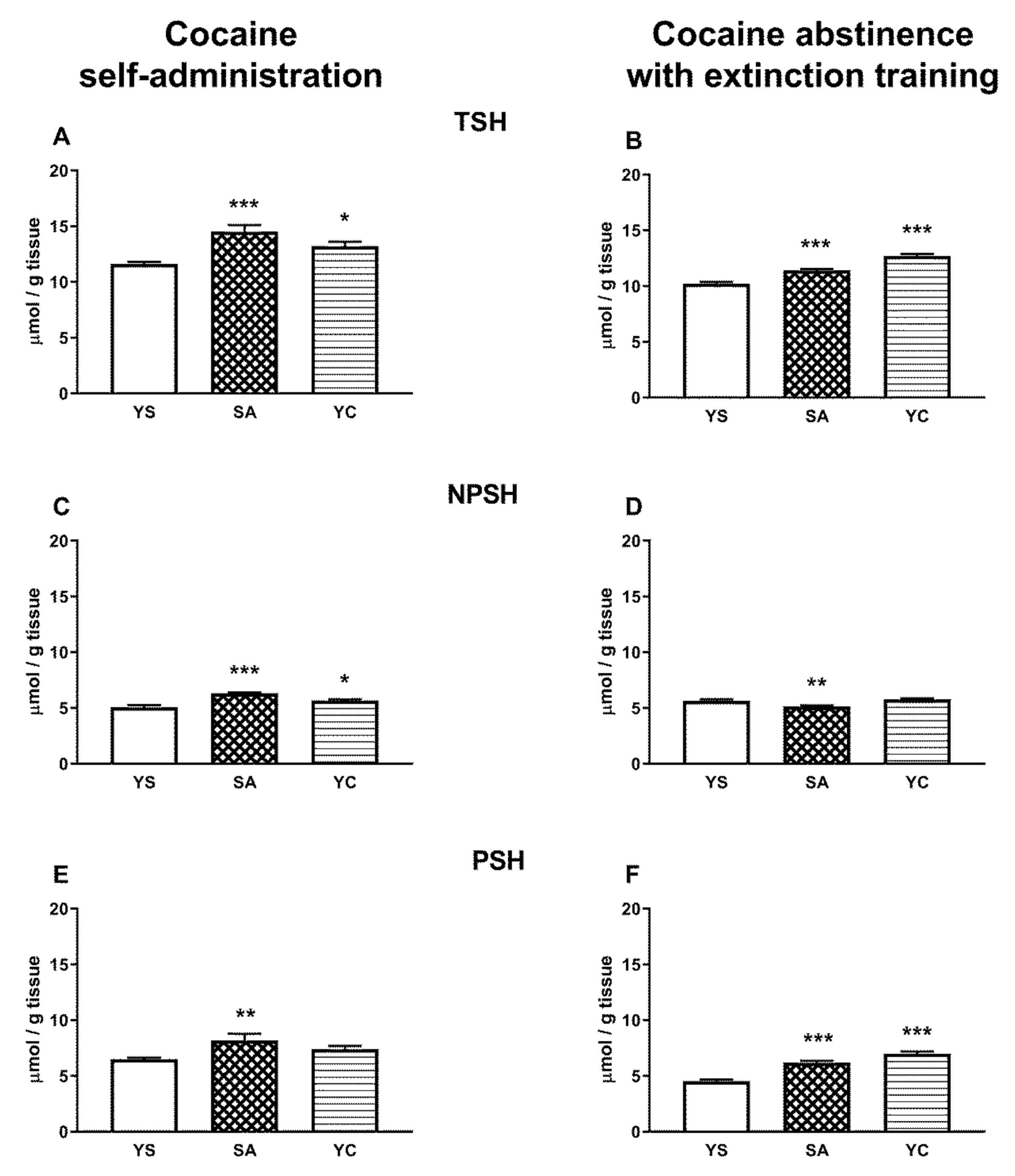 Antioxidants 10 00074 g010 Antioxidants 10 00074 g010