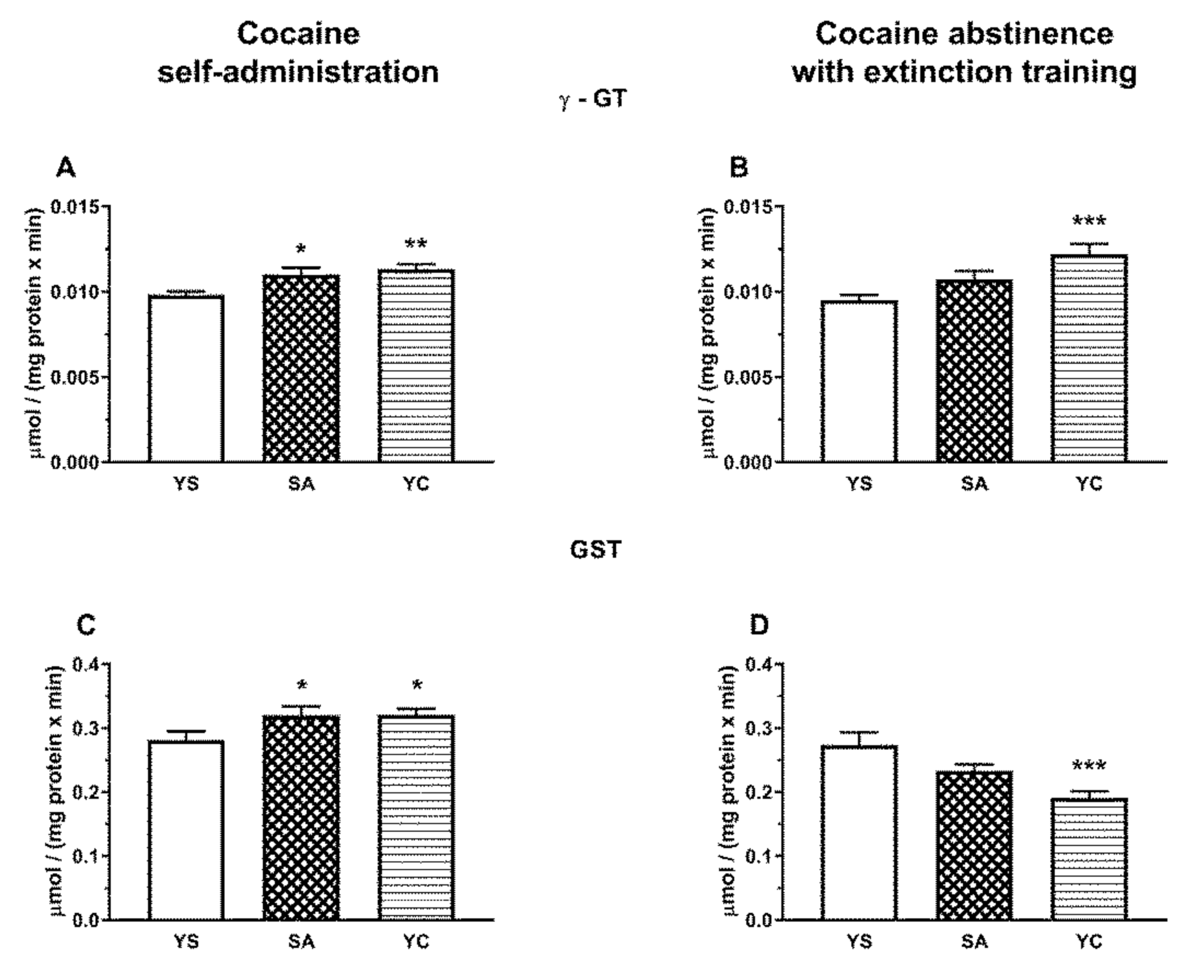 Antioxidants 10 00074 g011 Antioxidants 10 00074 g011