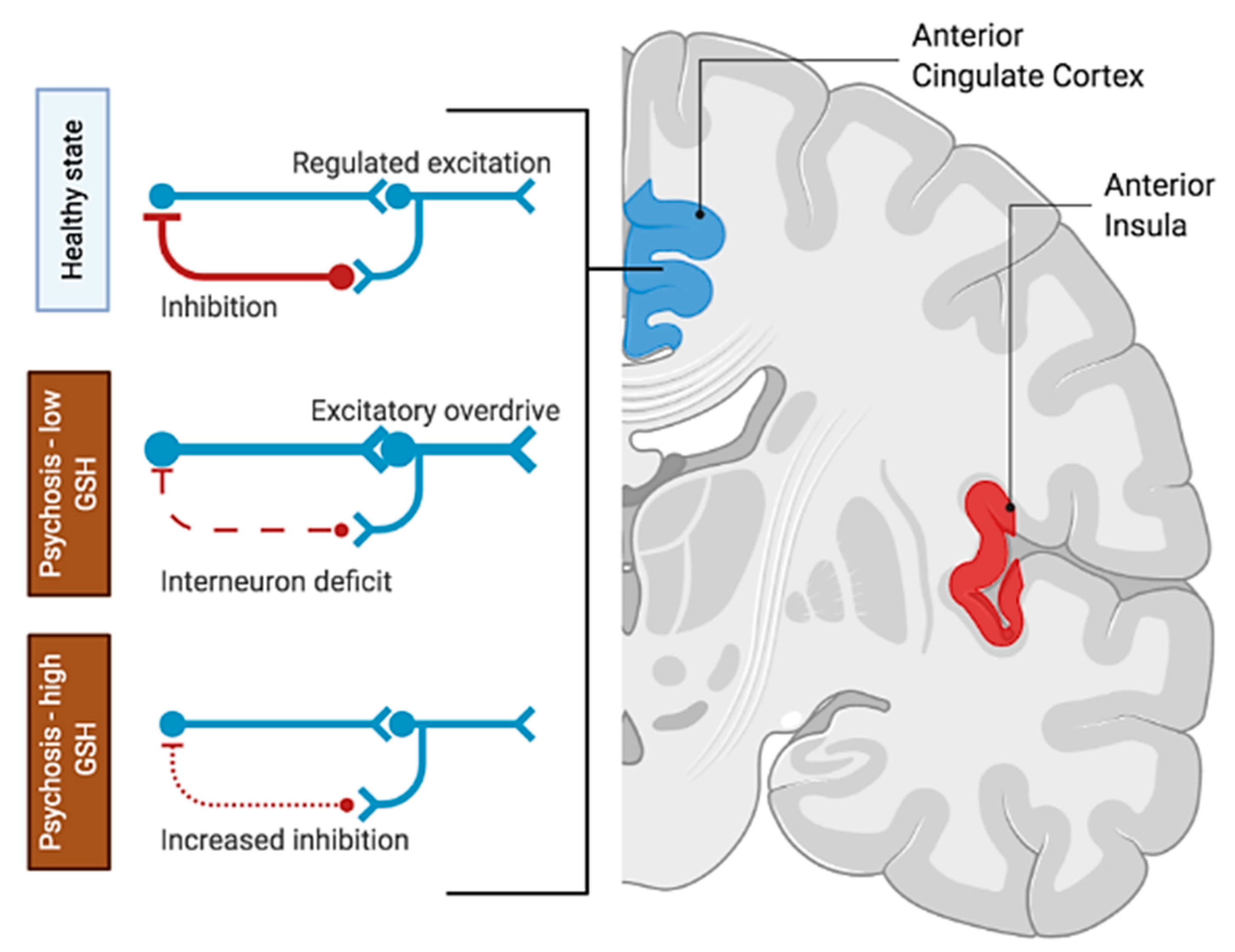 Antioxidants 10 00075 g005