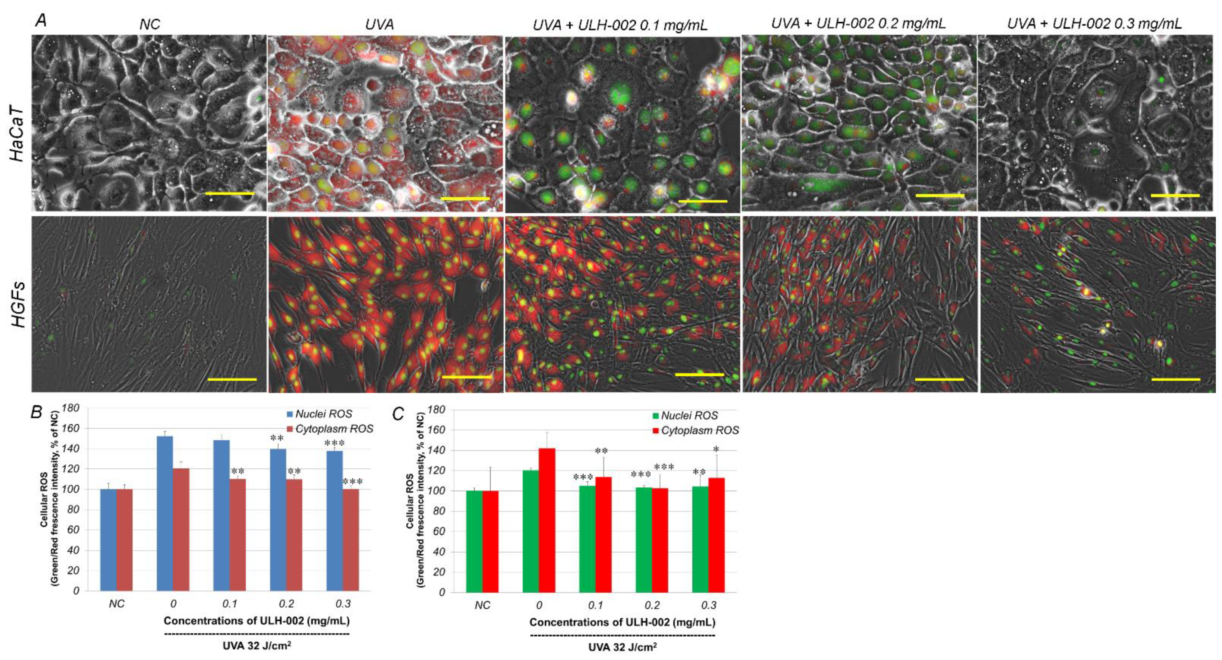 Antioxidants 10 00076 g002