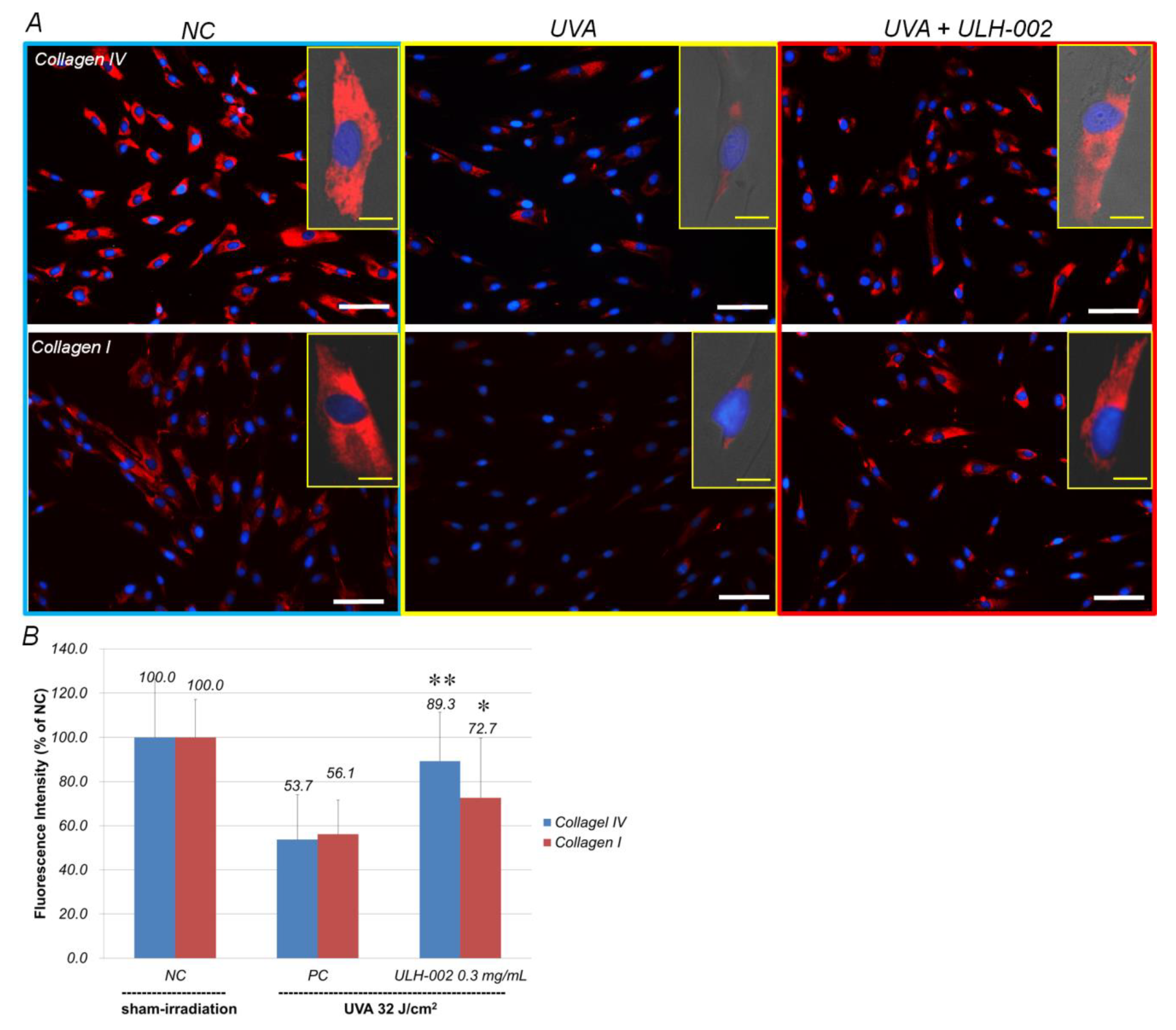 Antioxidants 10 00076 g005