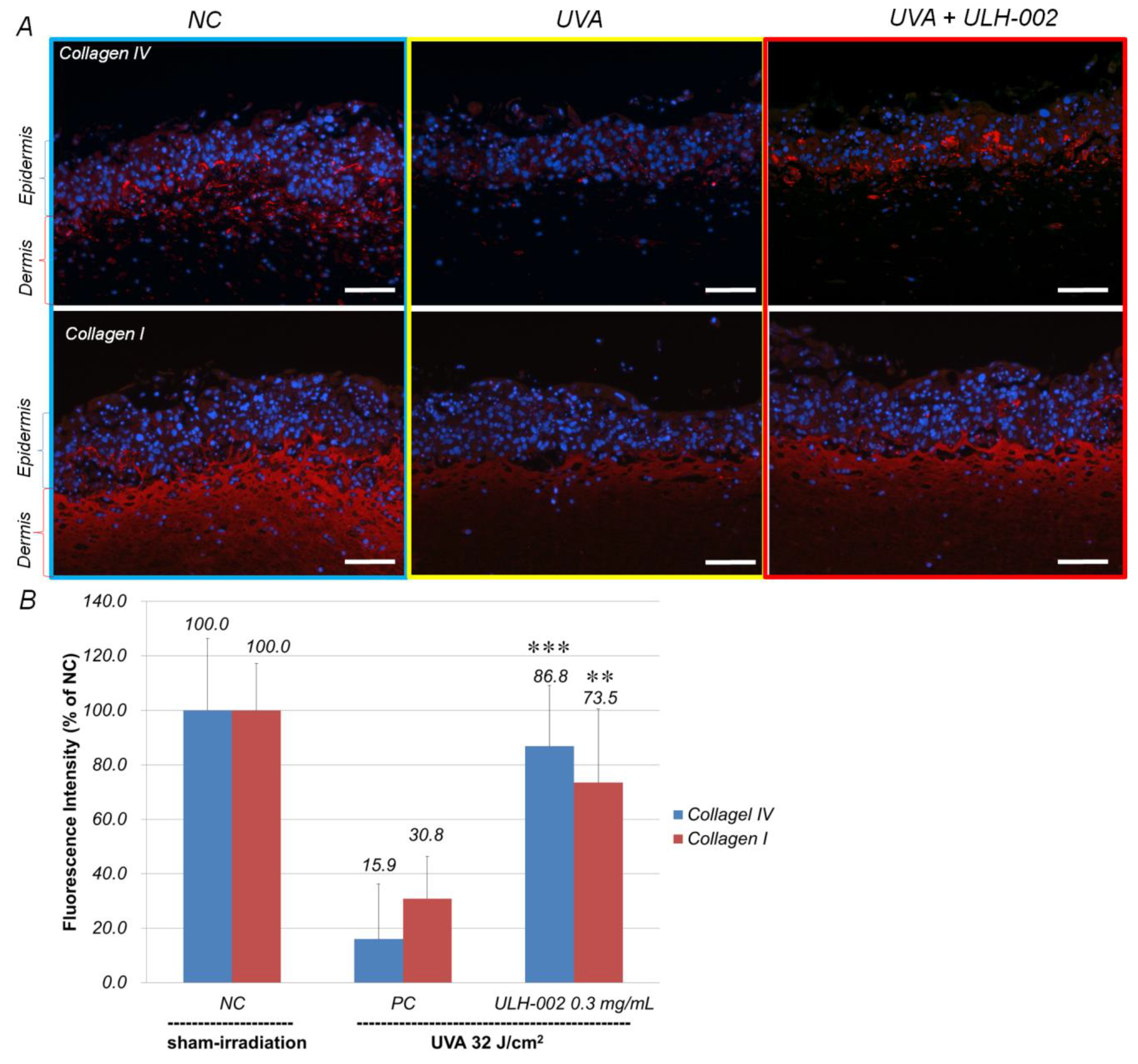 Antioxidants 10 00076 g006