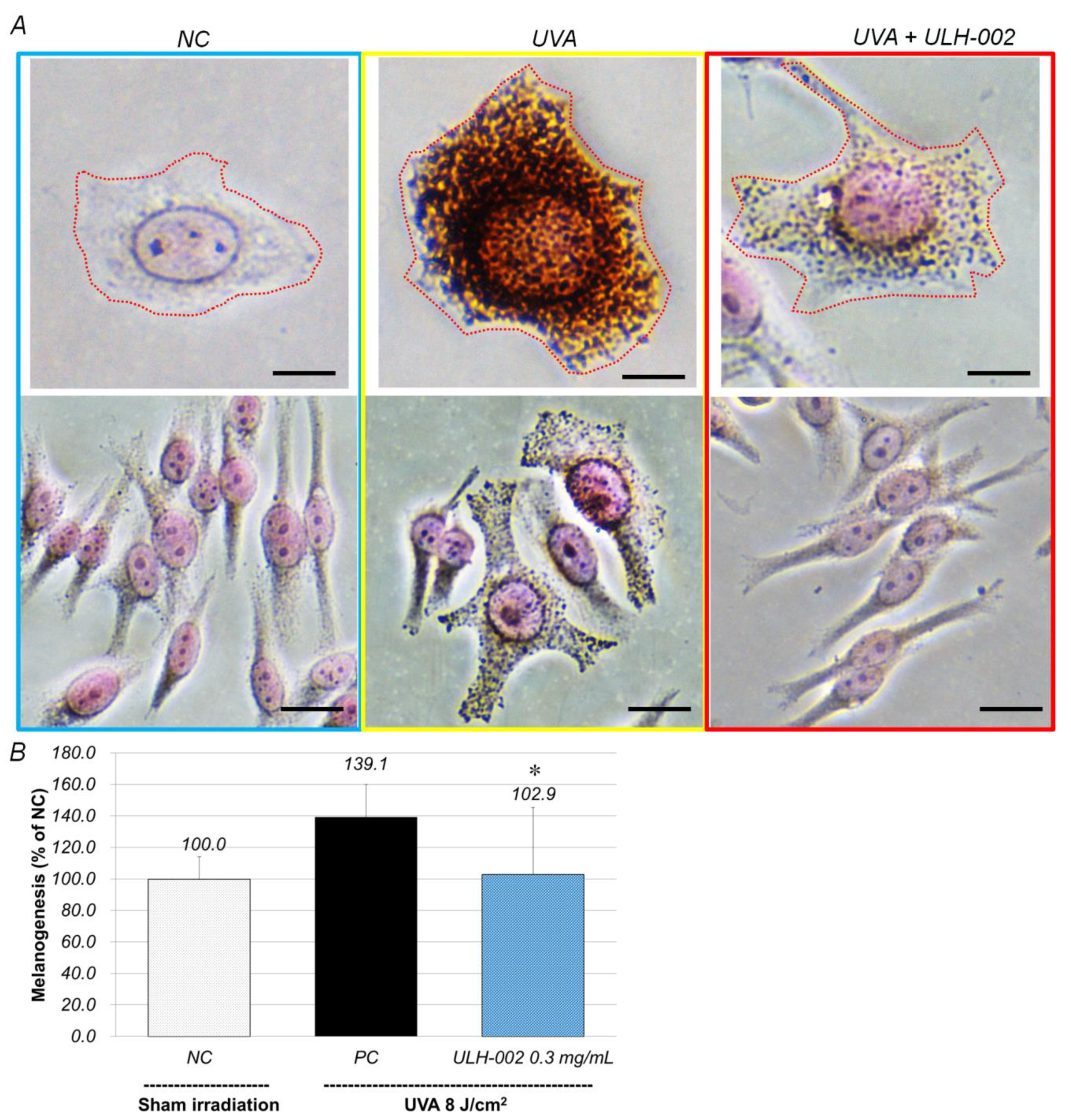 Antioxidants 10 00076 g007
