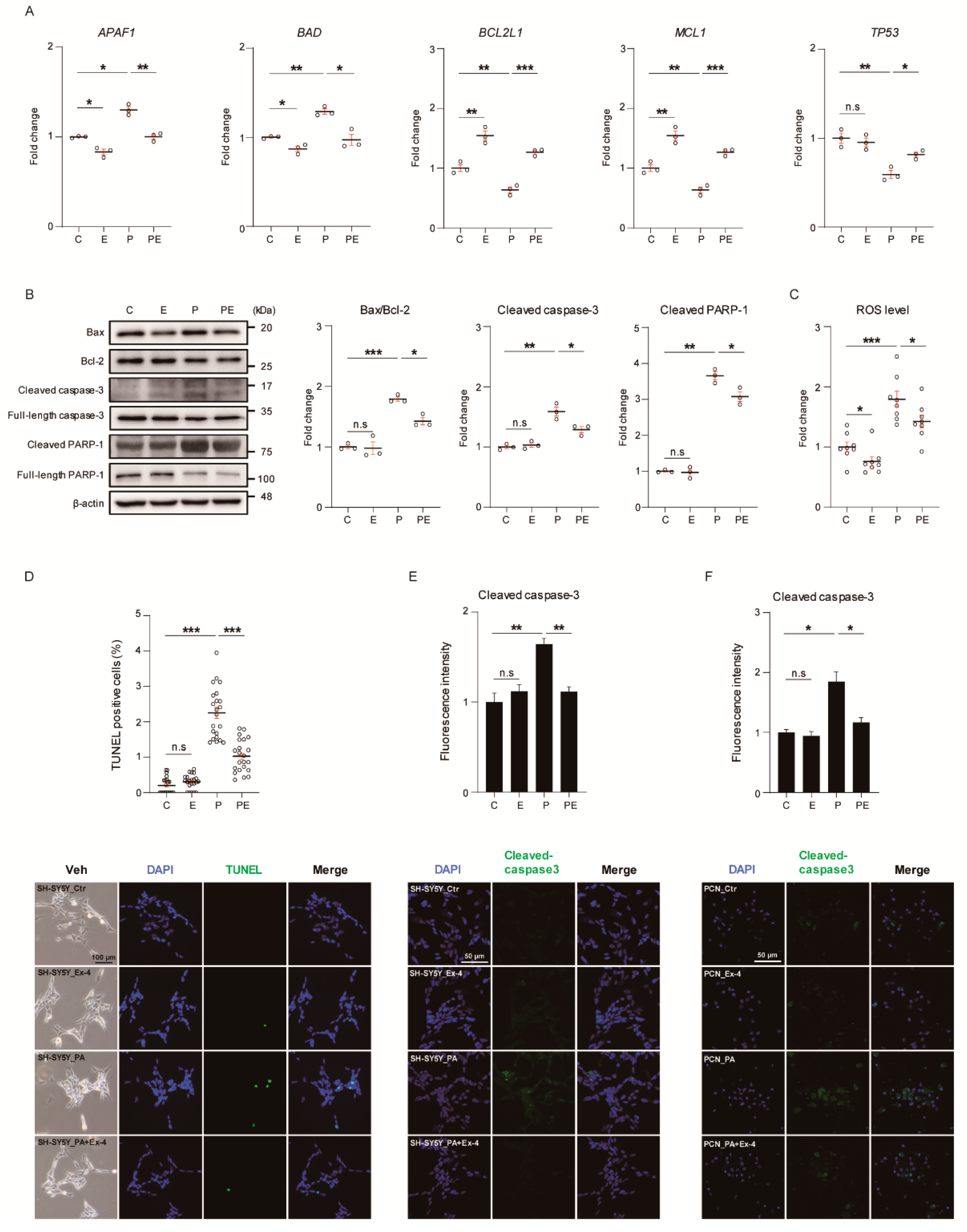 Antioxidants 10 00078 g001
