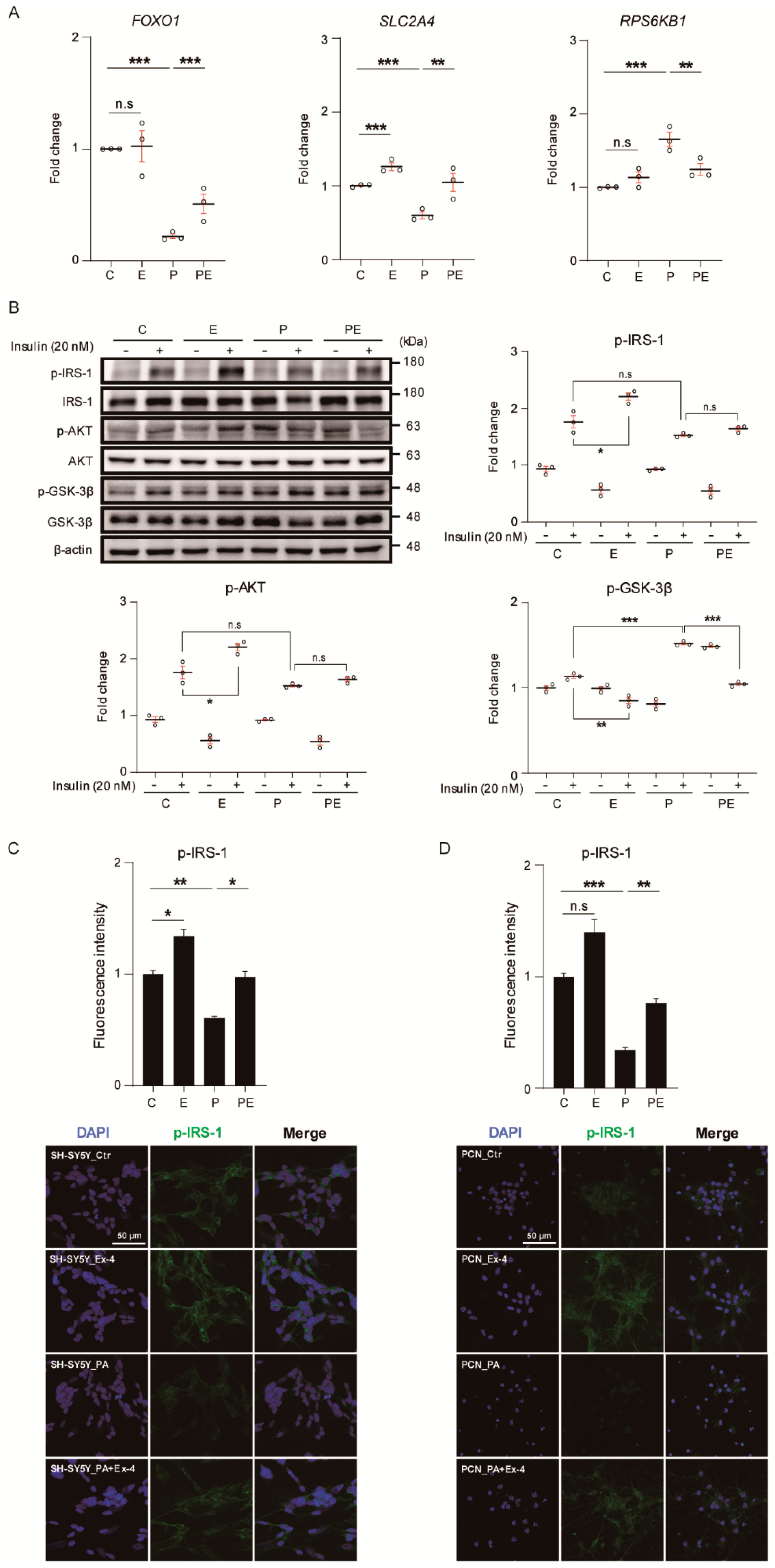 Antioxidants 10 00078 g002