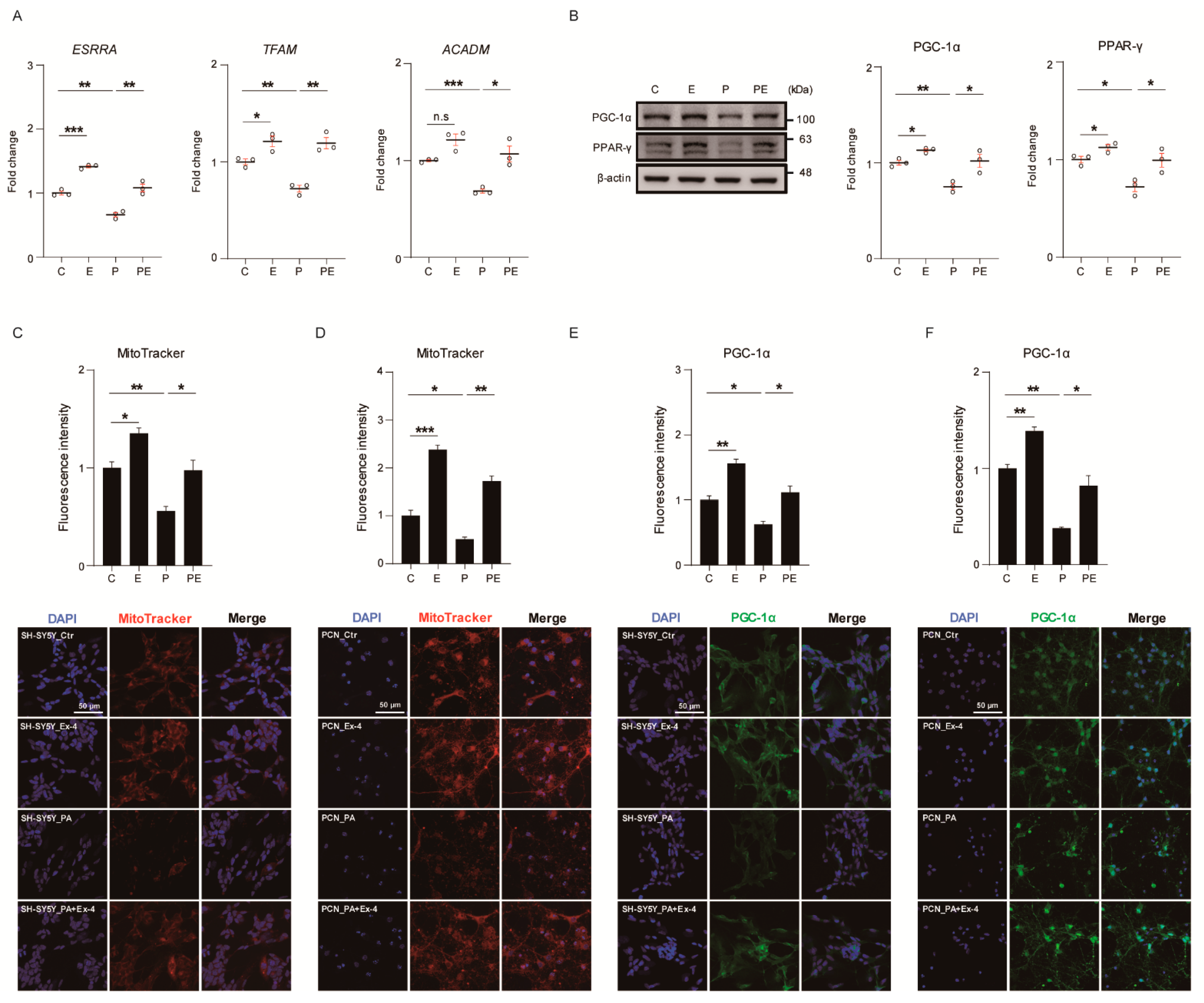 Antioxidants 10 00078 g003
