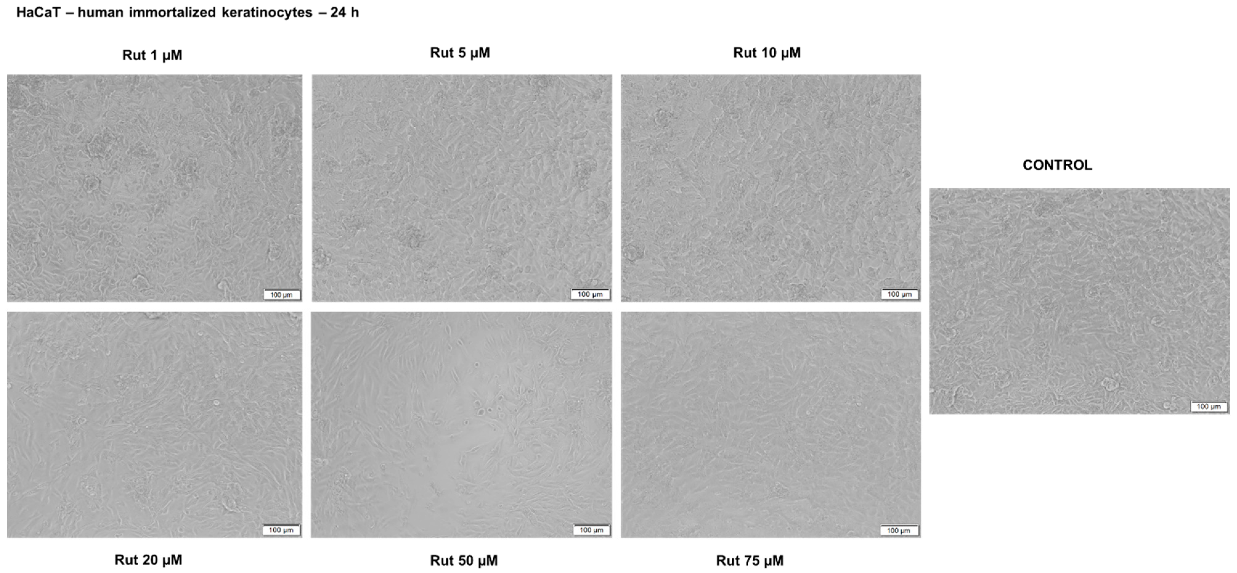 Antioxidants 10 00085 g009