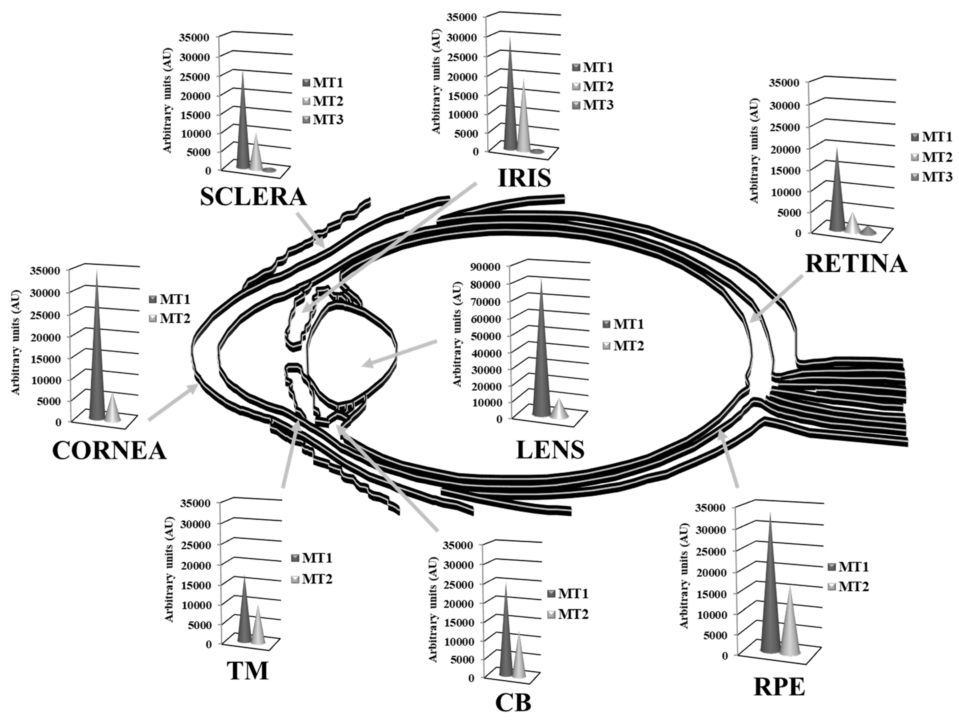 Antioxidants 10 00089 g004