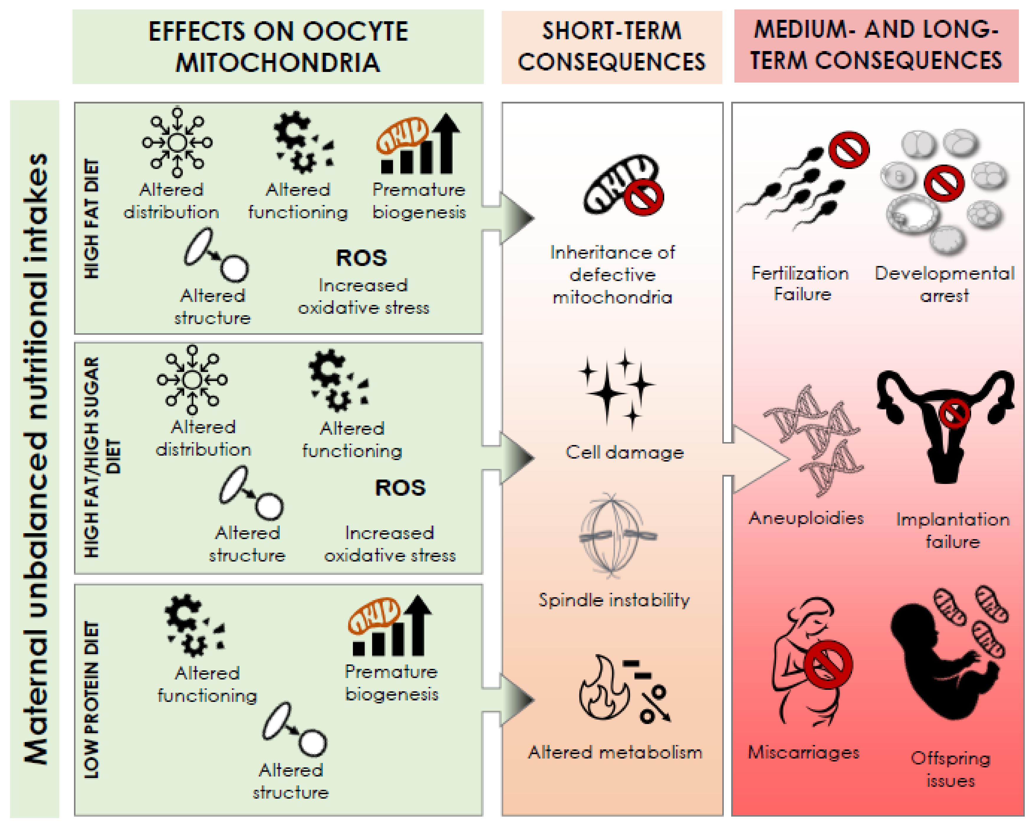 Antioxidants 10 00091 g001