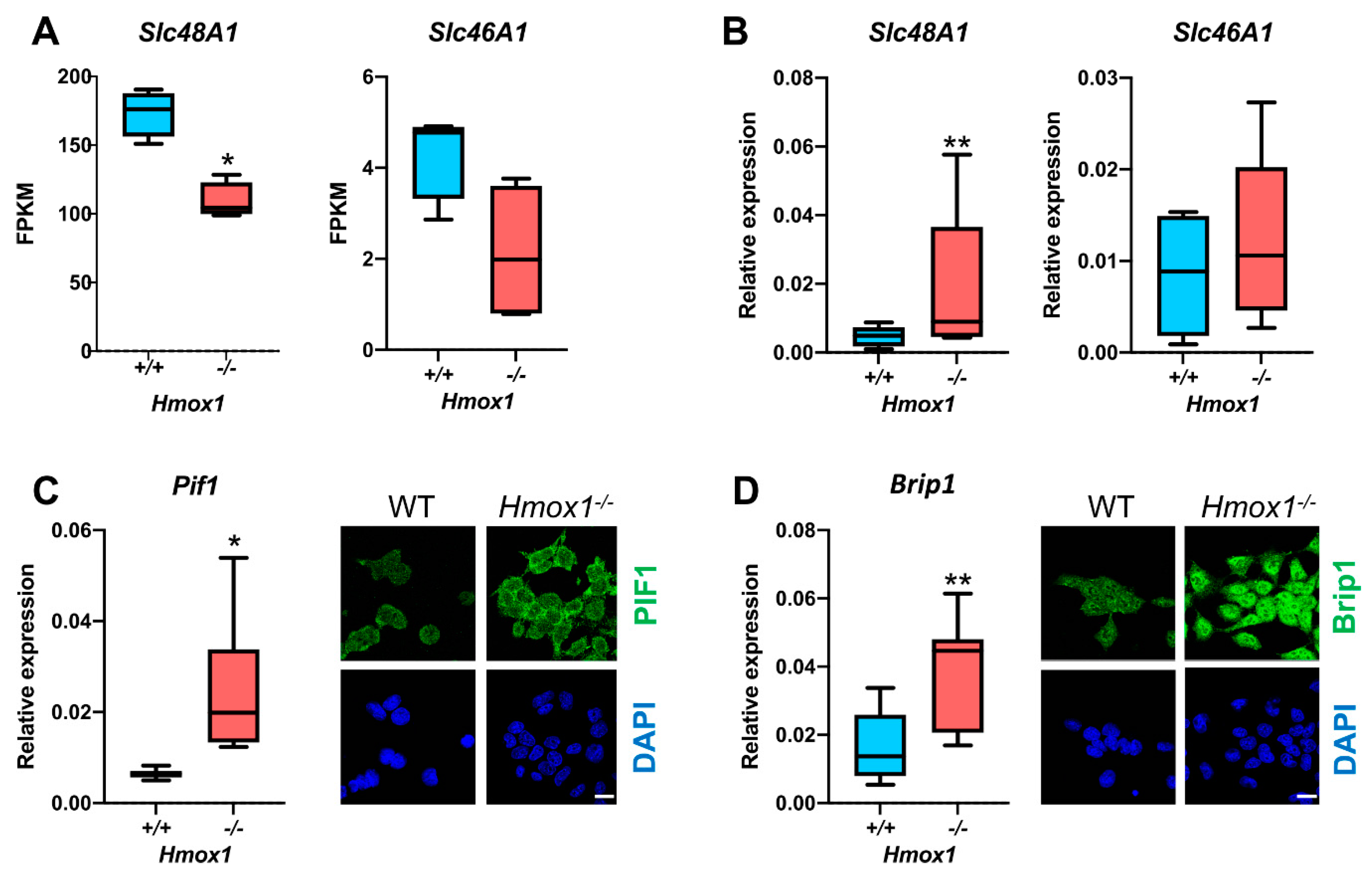 Antioxidants 10 00094 g002