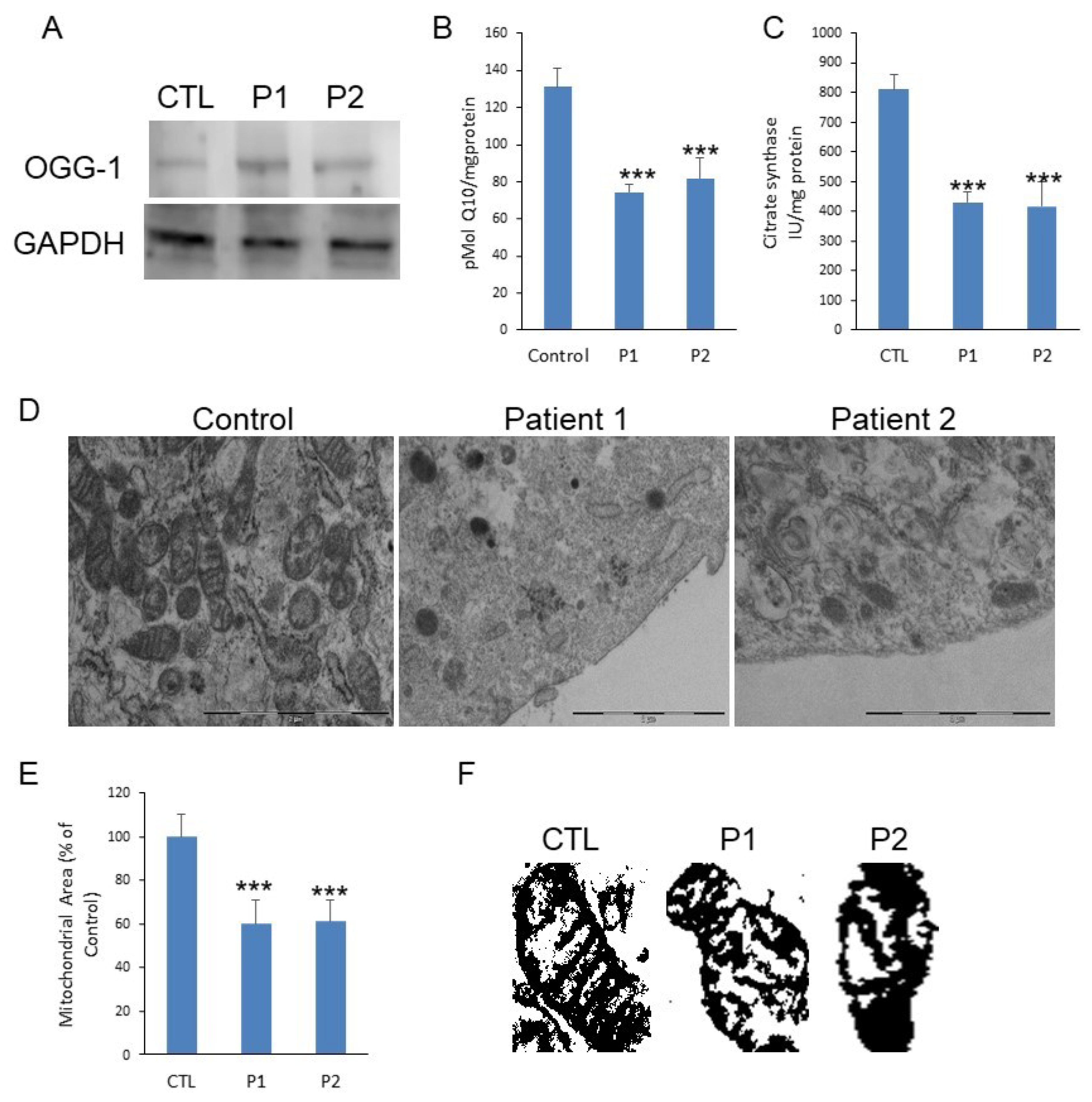 Antioxidants 10 00095 g001