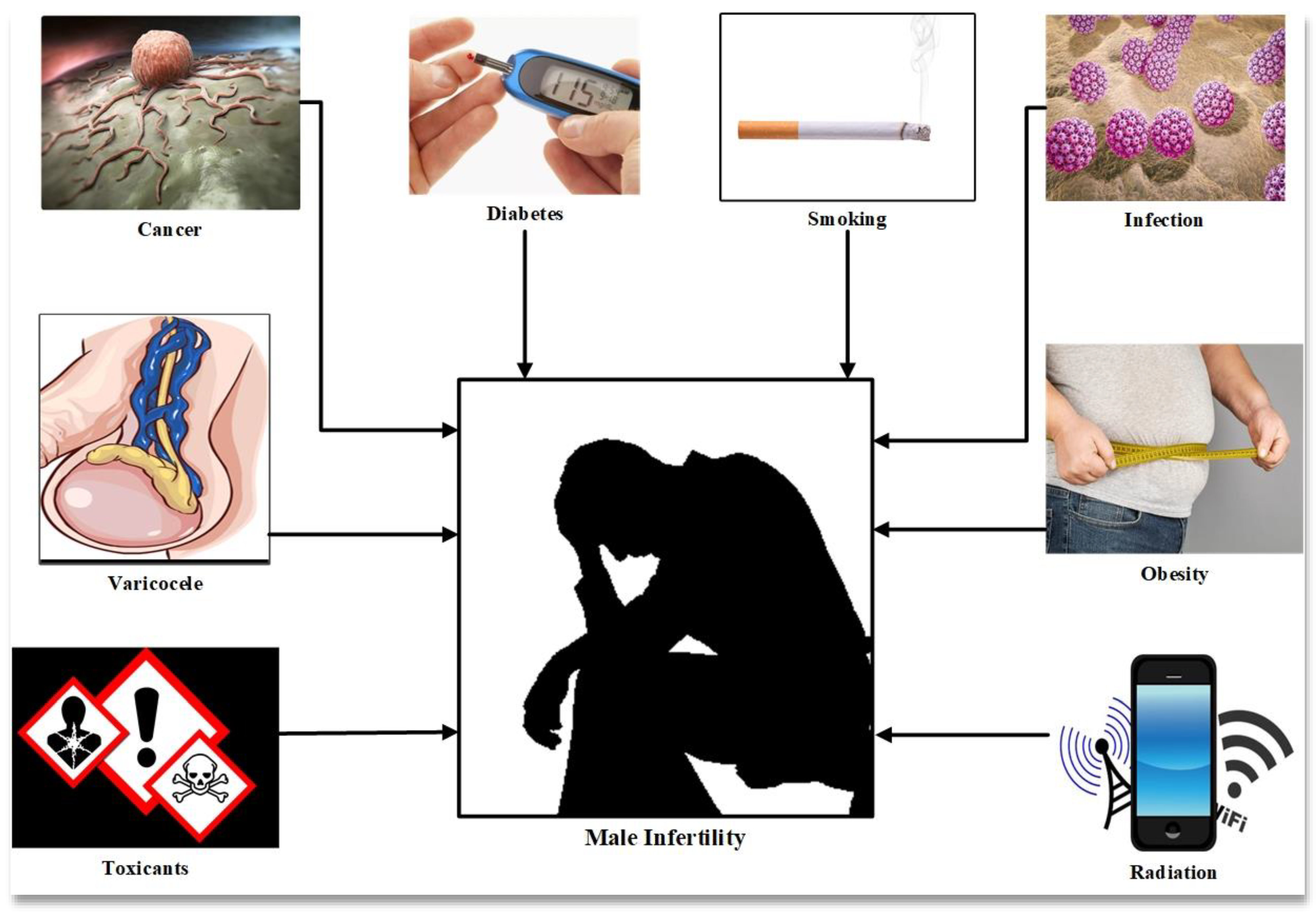 Antioxidants 10 00097 g001
