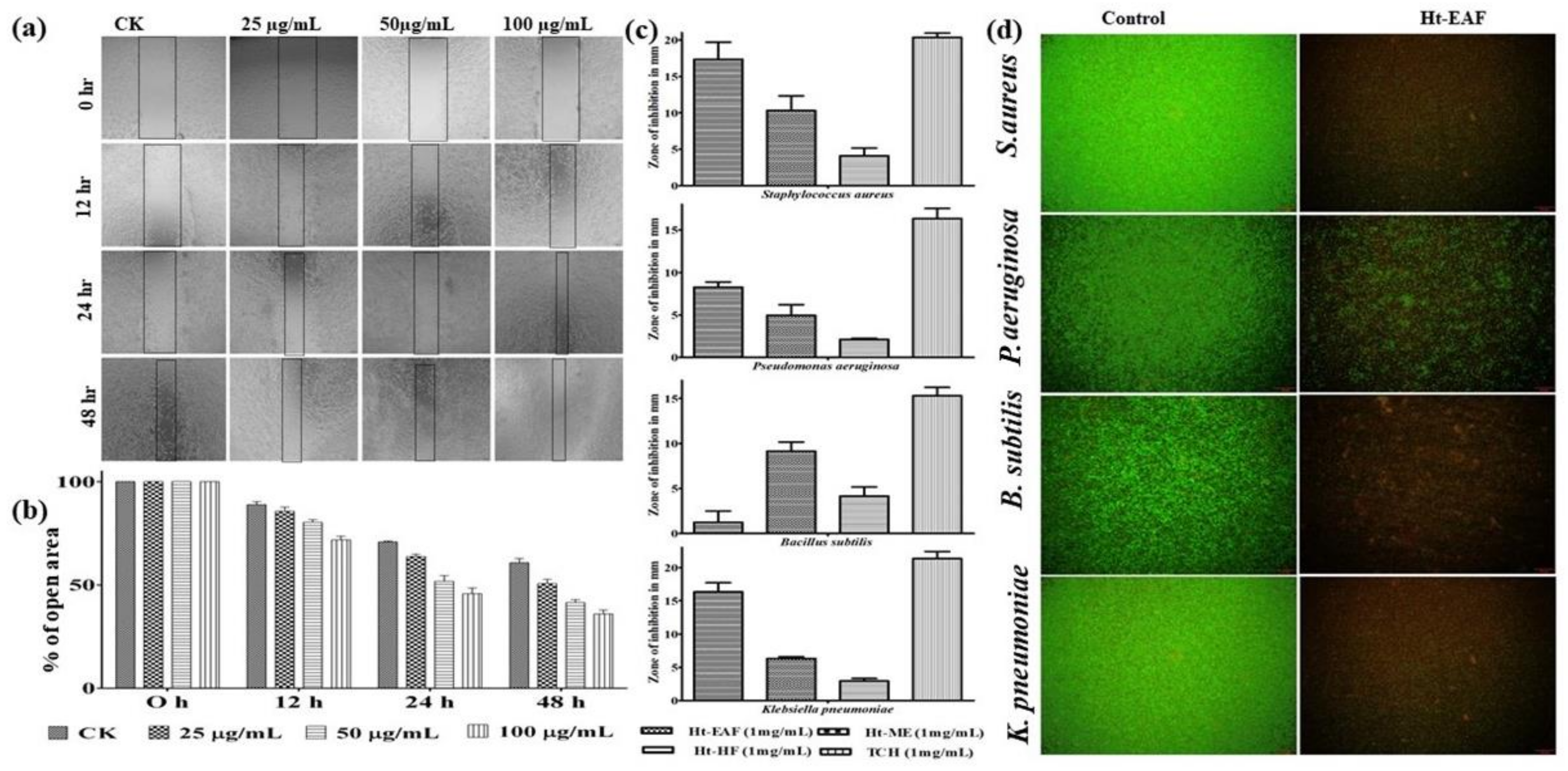 Antioxidants 10 00099 g004 Antioxidants 10 00099 g004