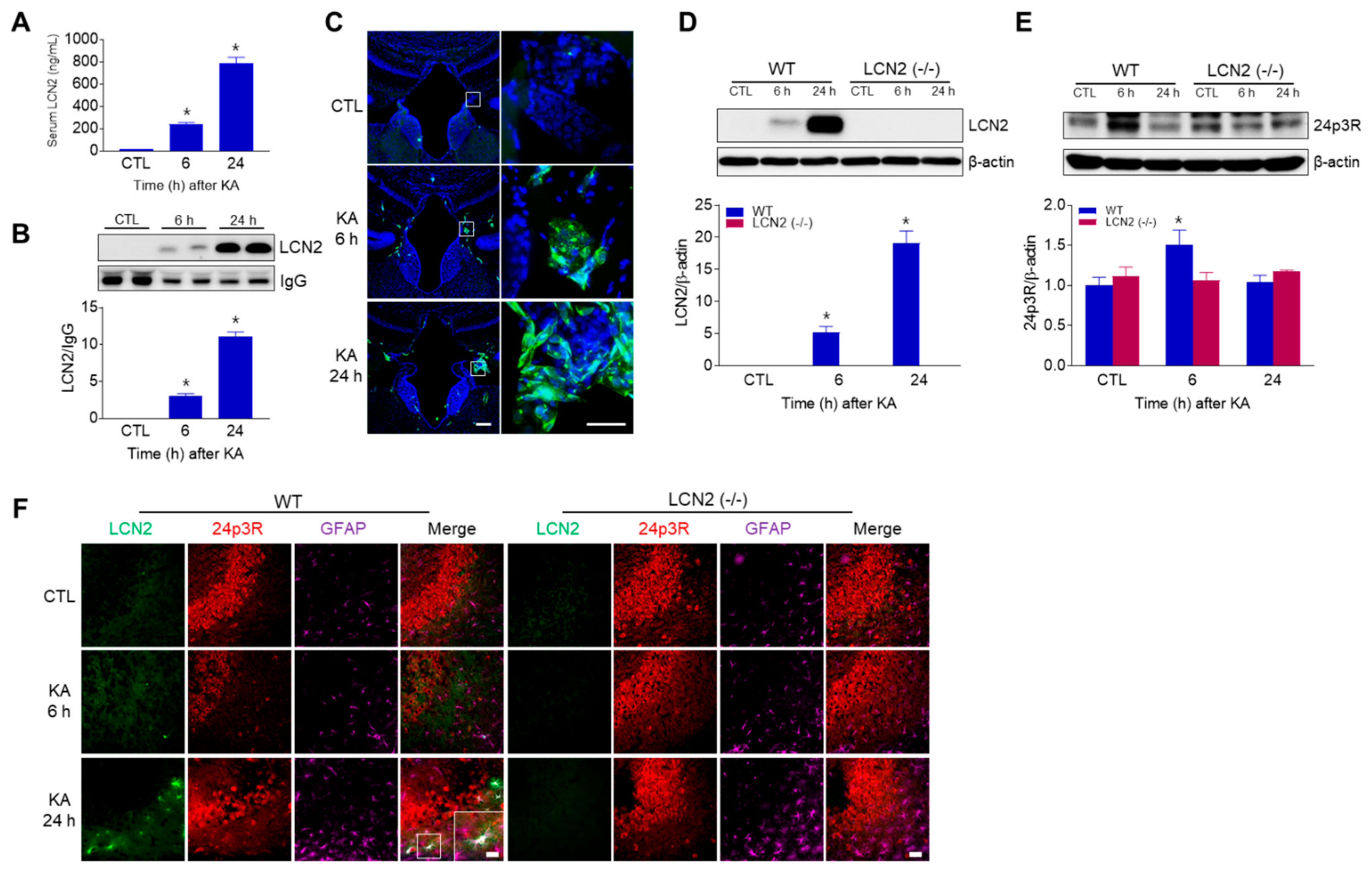 Antioxidants 10 00100 g004