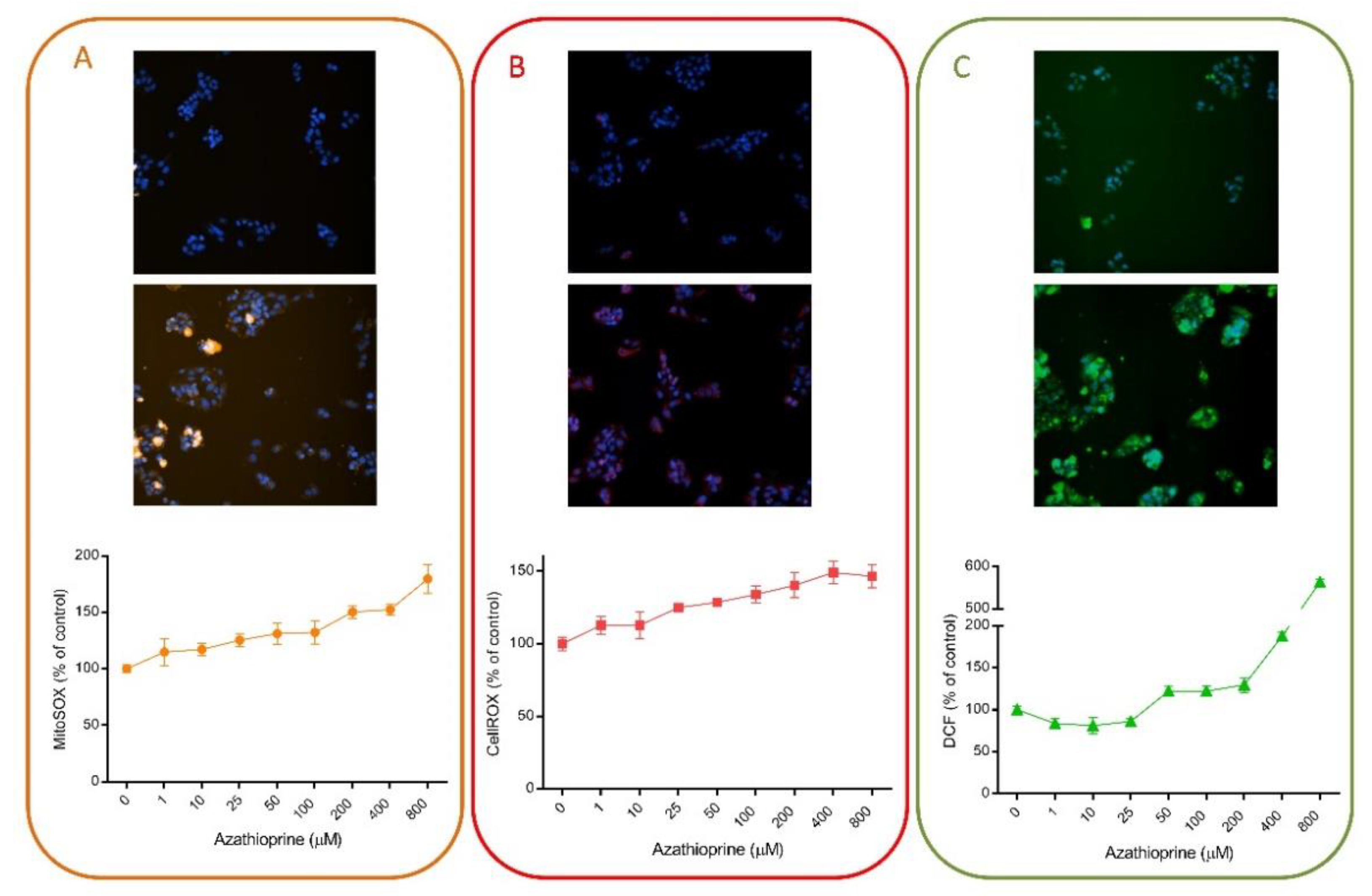 Antioxidants 10 00106 g003