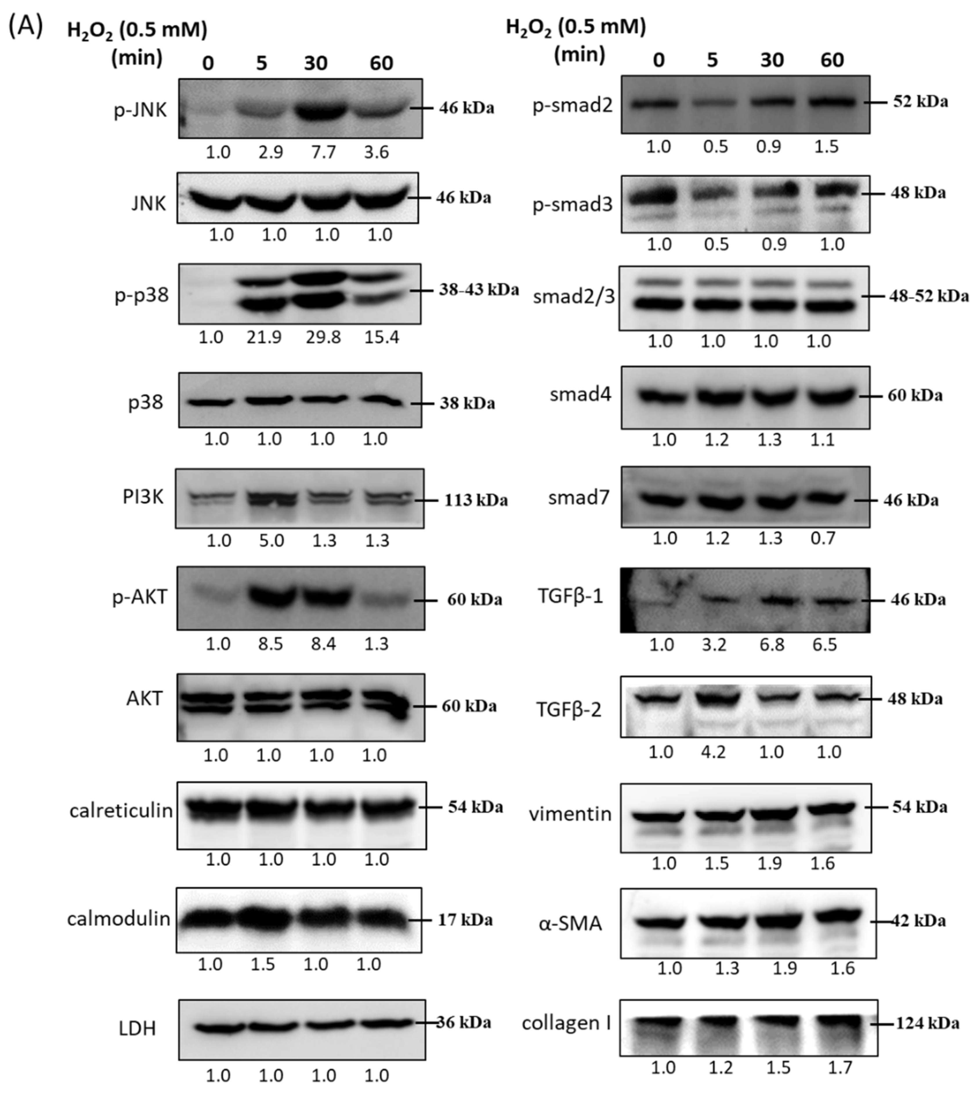 Antioxidants 10 00107 g002a