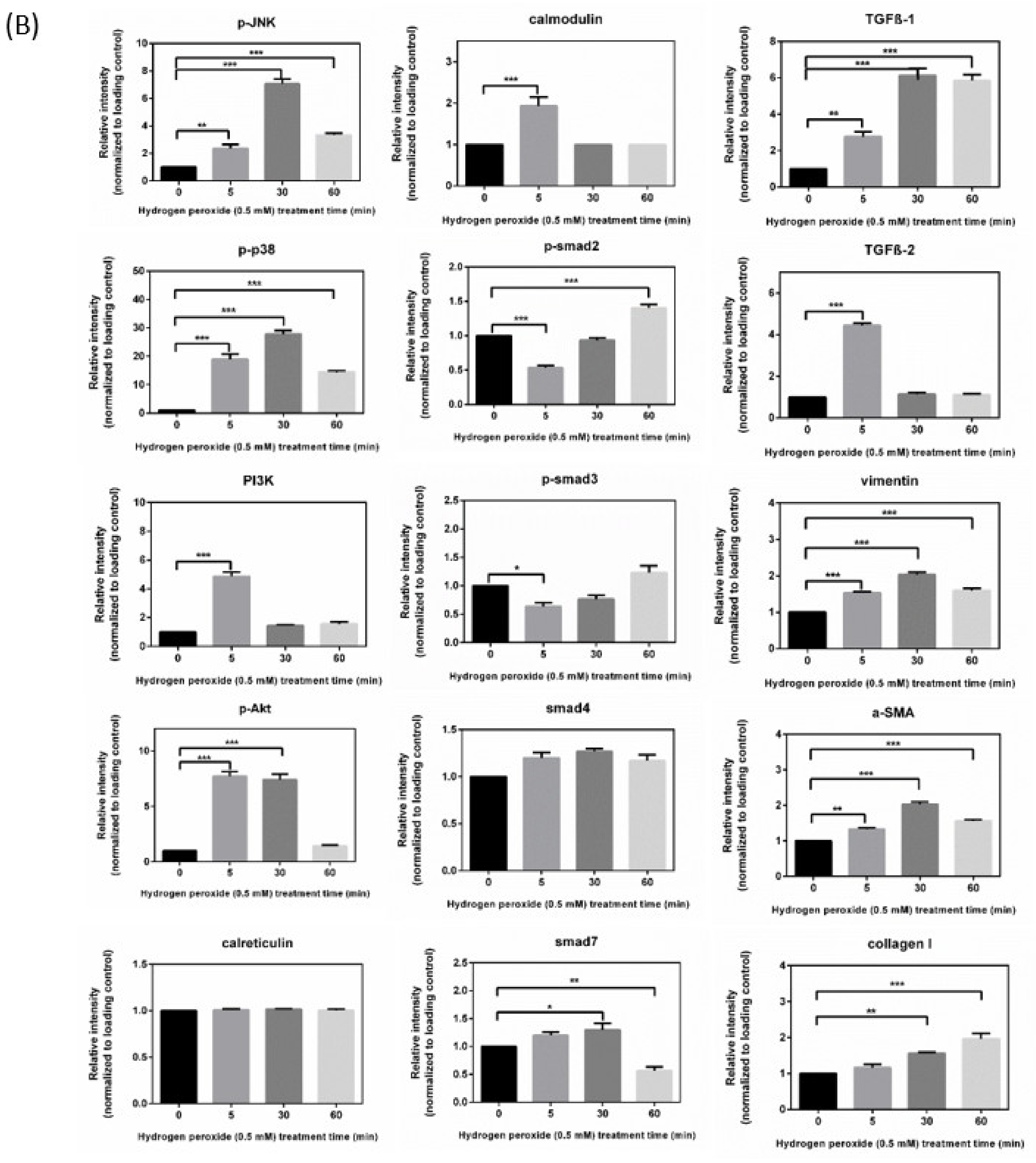 Antioxidants 10 00107 g002b