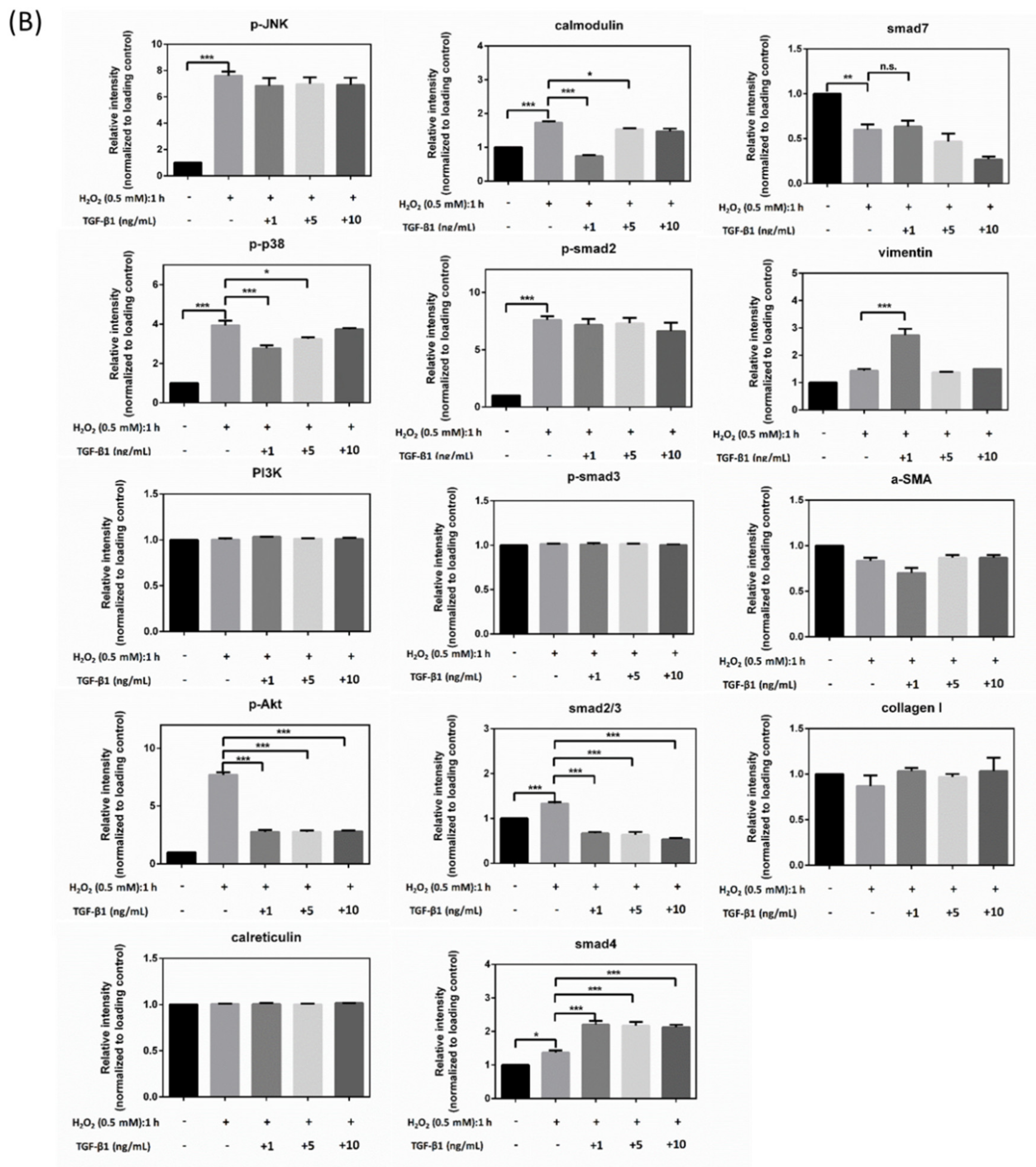 Antioxidants 10 00107 g005b