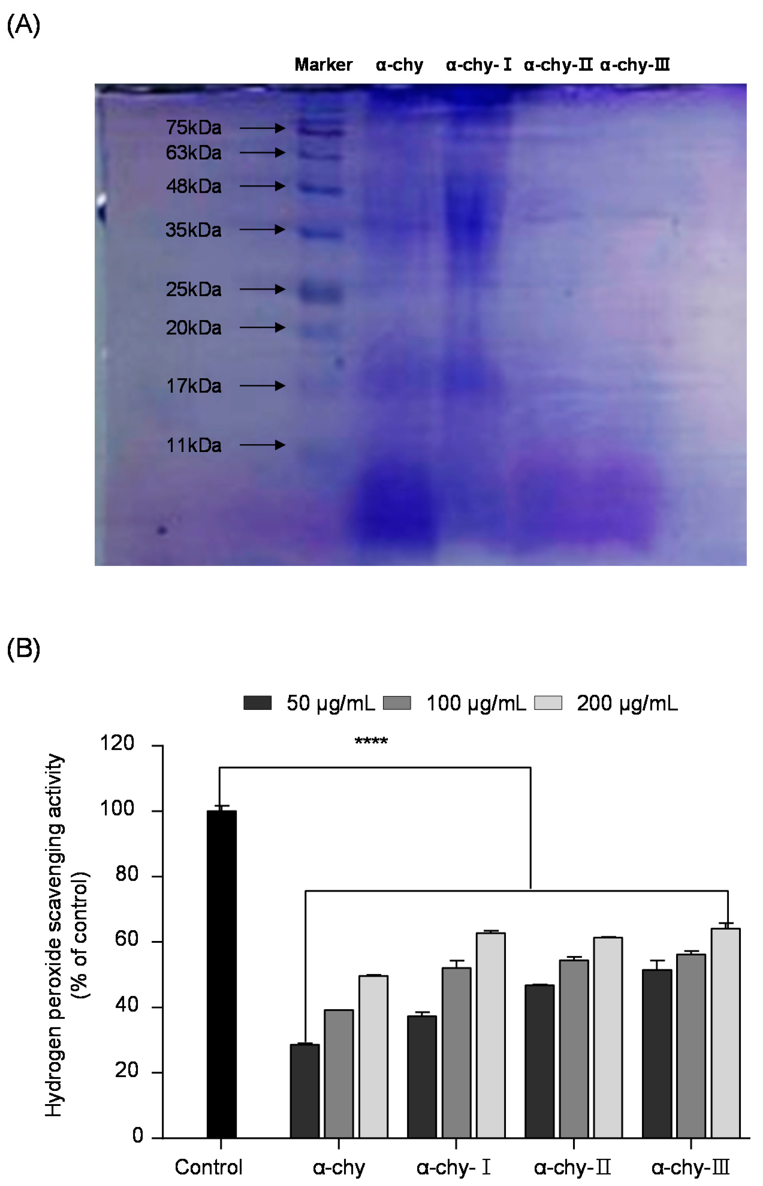Antioxidants 10 00110 g002 Antioxidants 10 00110 g002