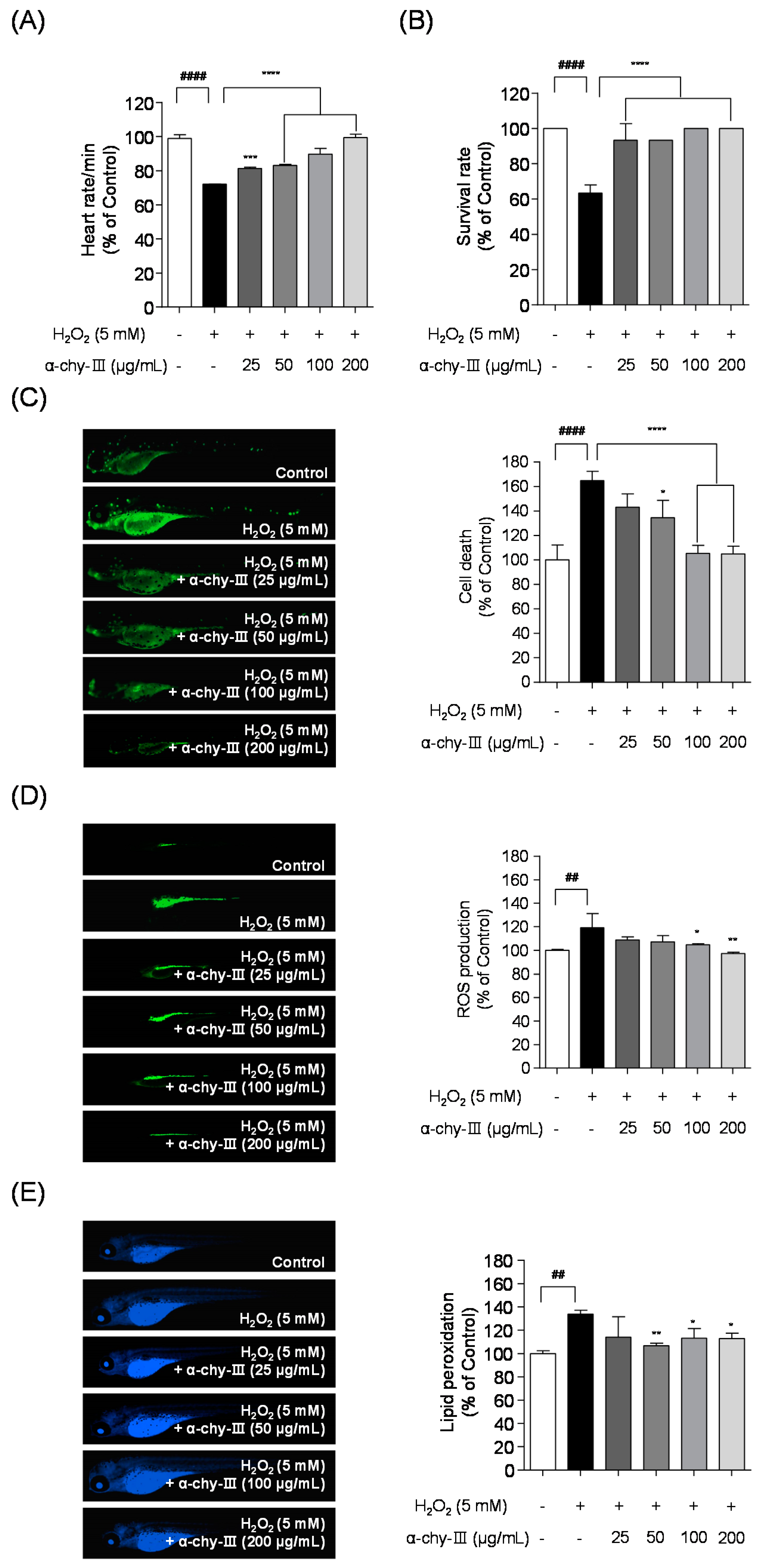 Antioxidants 10 00110 g005 Antioxidants 10 00110 g005