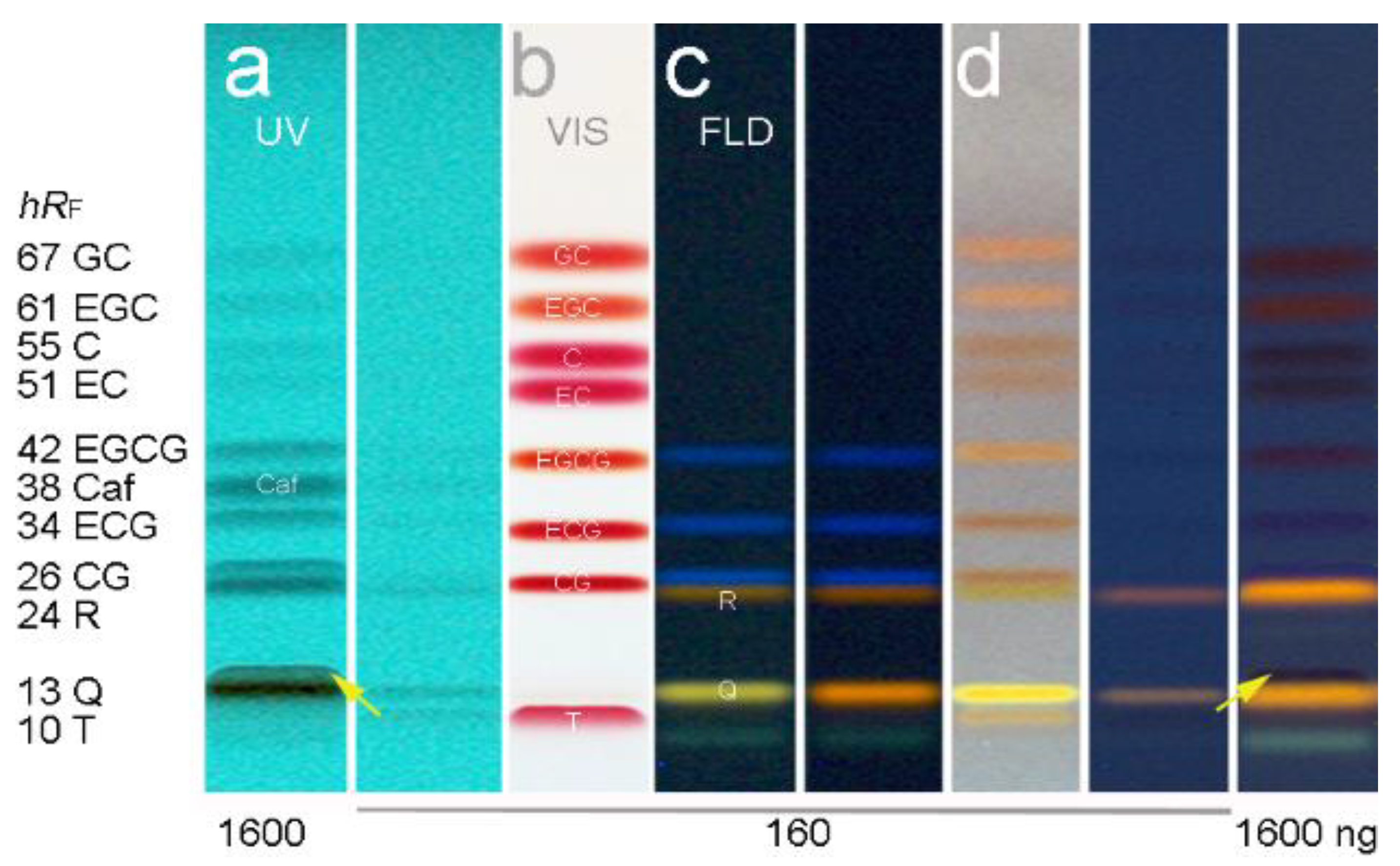 Antioxidants 10 00117 g001 Antioxidants 10 00117 g001