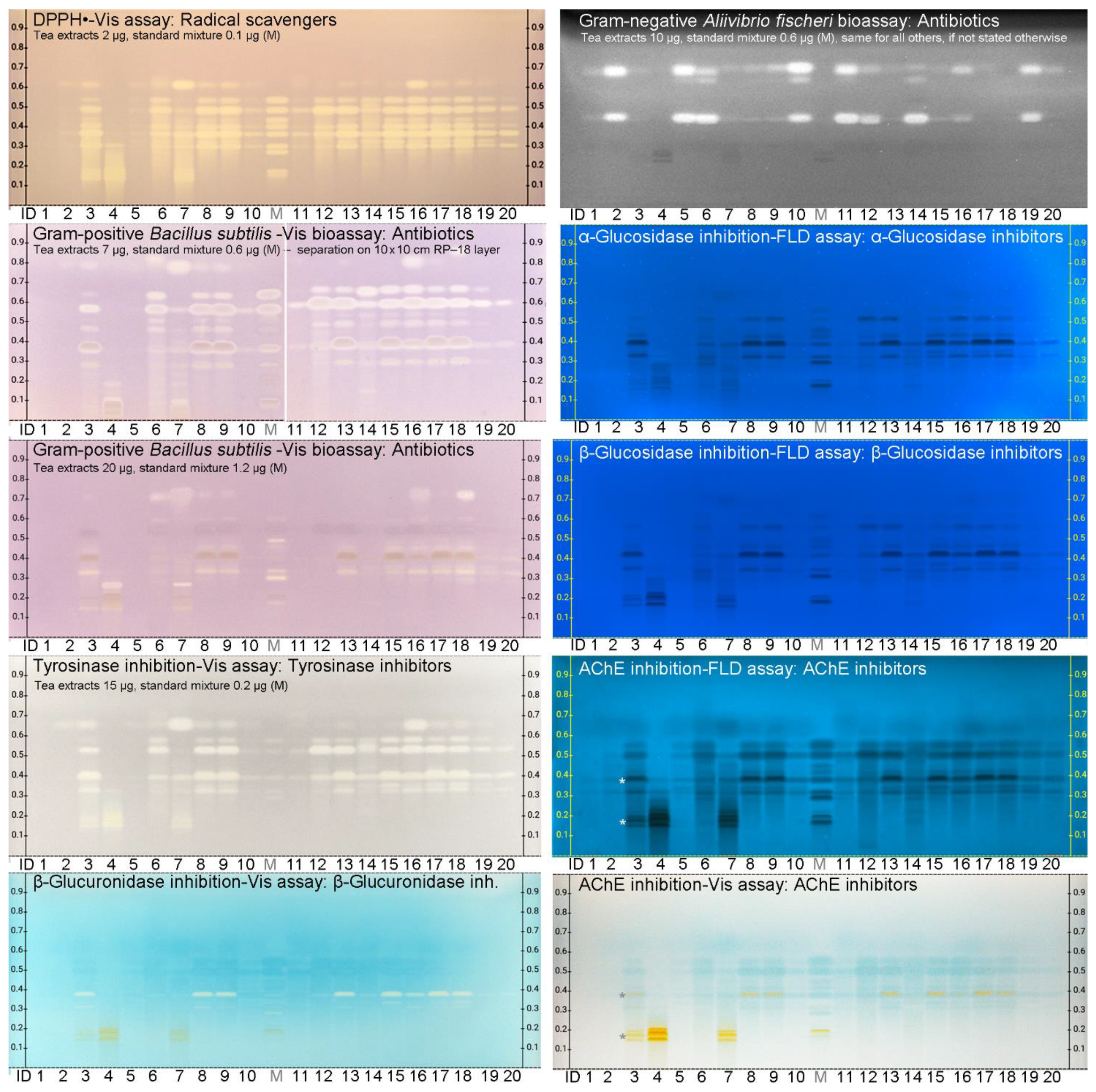 Antioxidants 10 00117 g004 Antioxidants 10 00117 g004