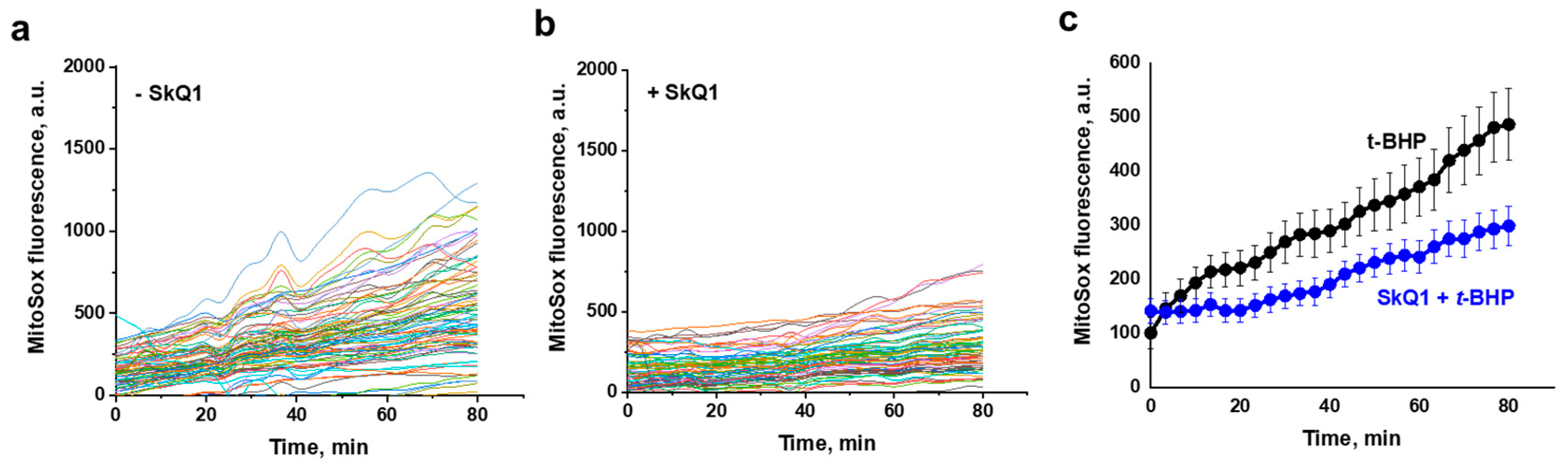 Antioxidants 10 00120 g005