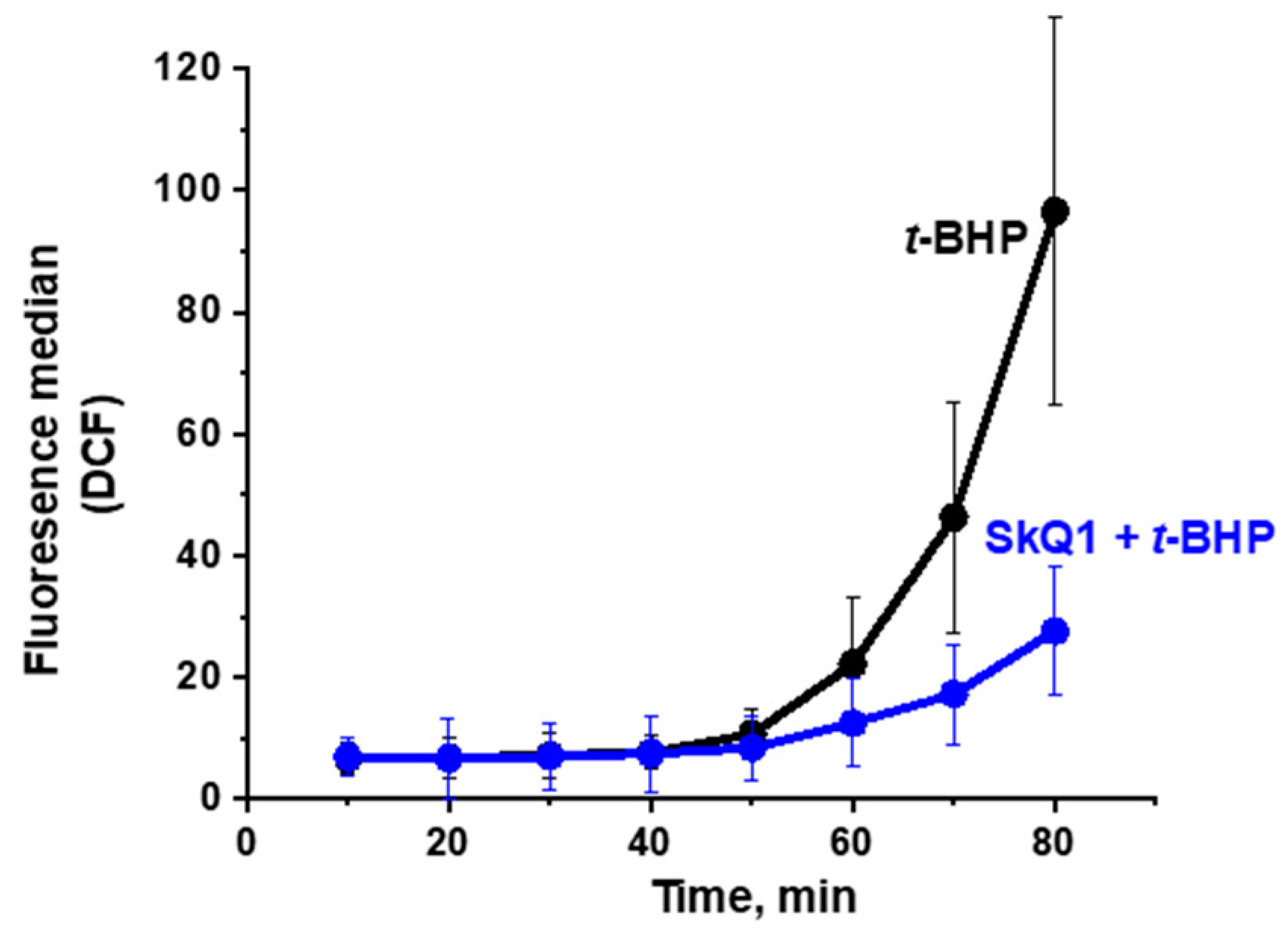 Antioxidants 10 00120 g006