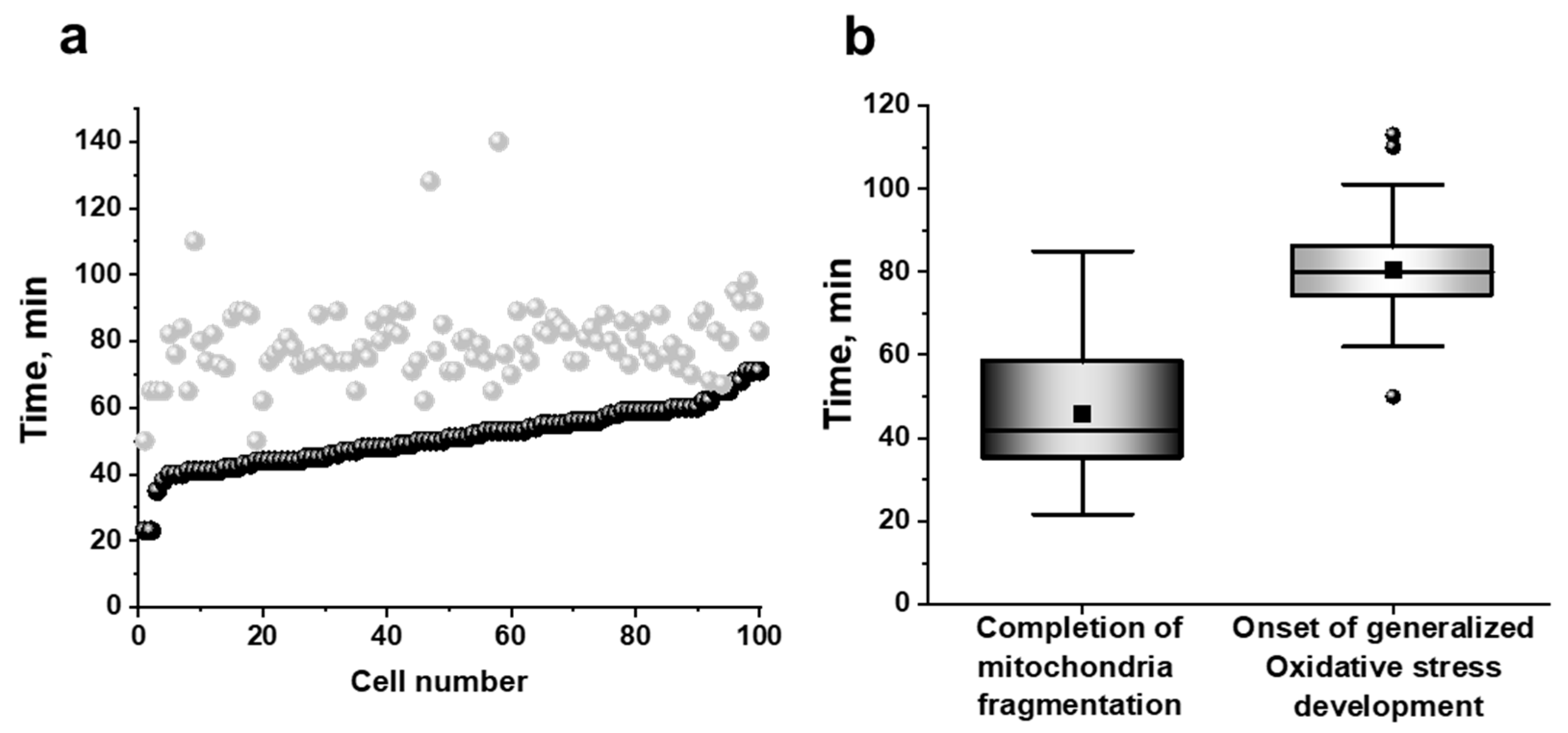 Antioxidants 10 00120 g007