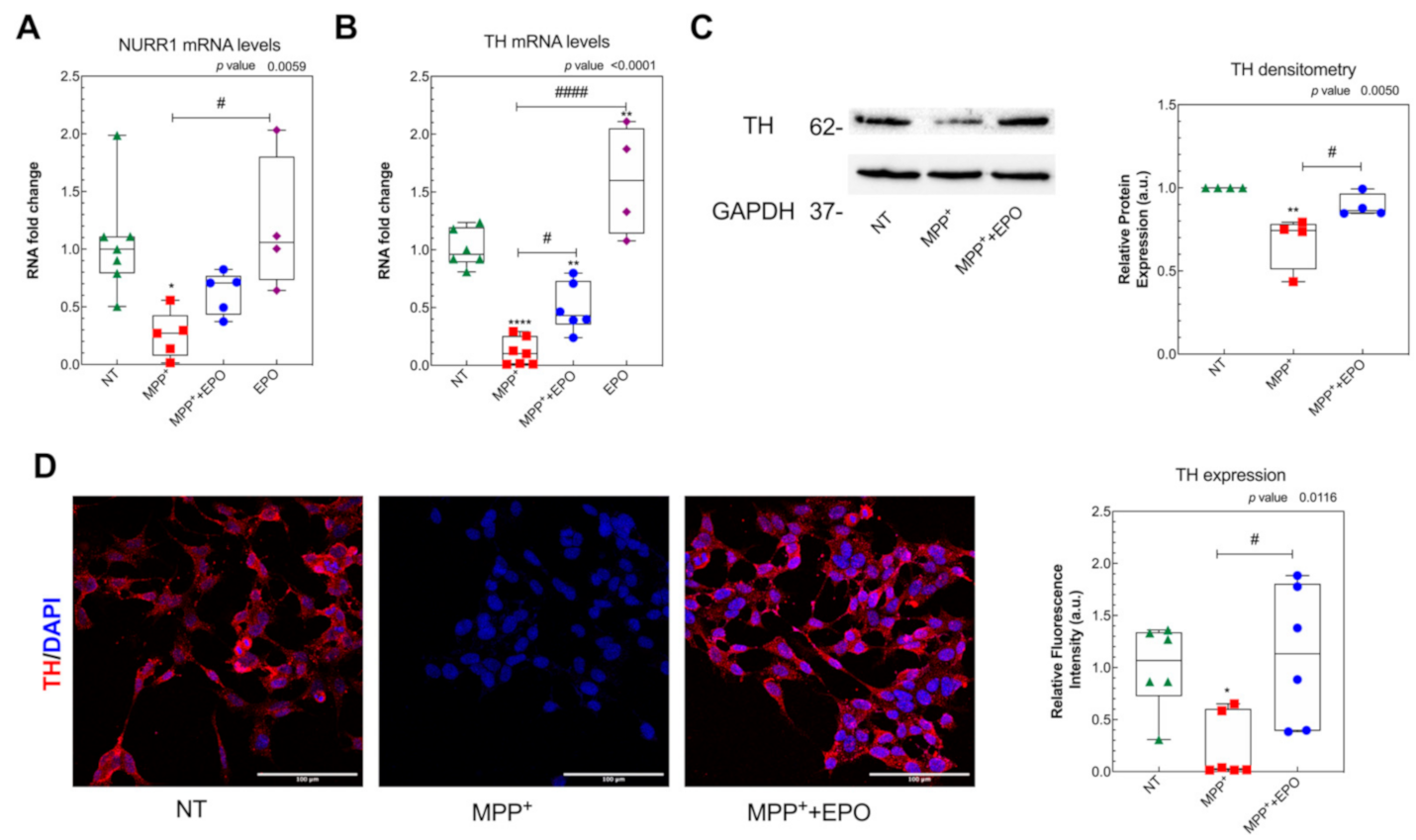 Antioxidants 10 00121 g002