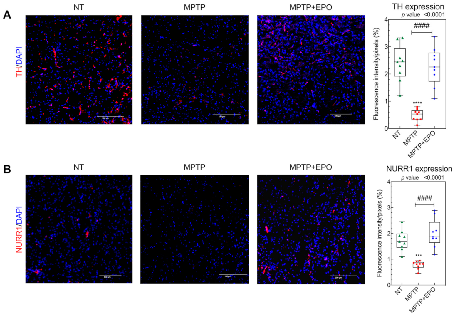 Antioxidants 10 00121 g008