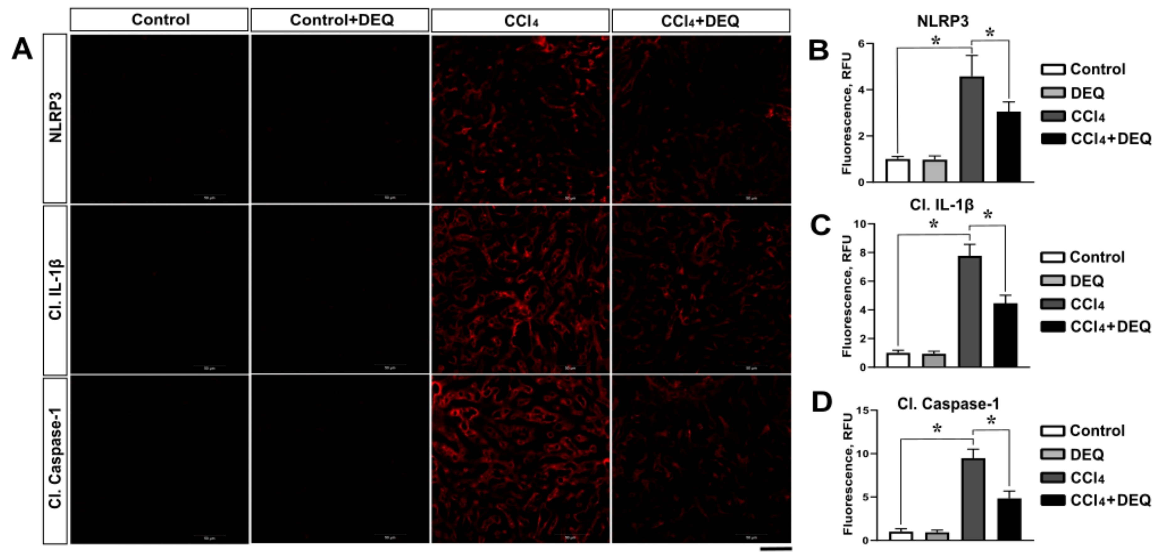 Antioxidants 10 00122 g004