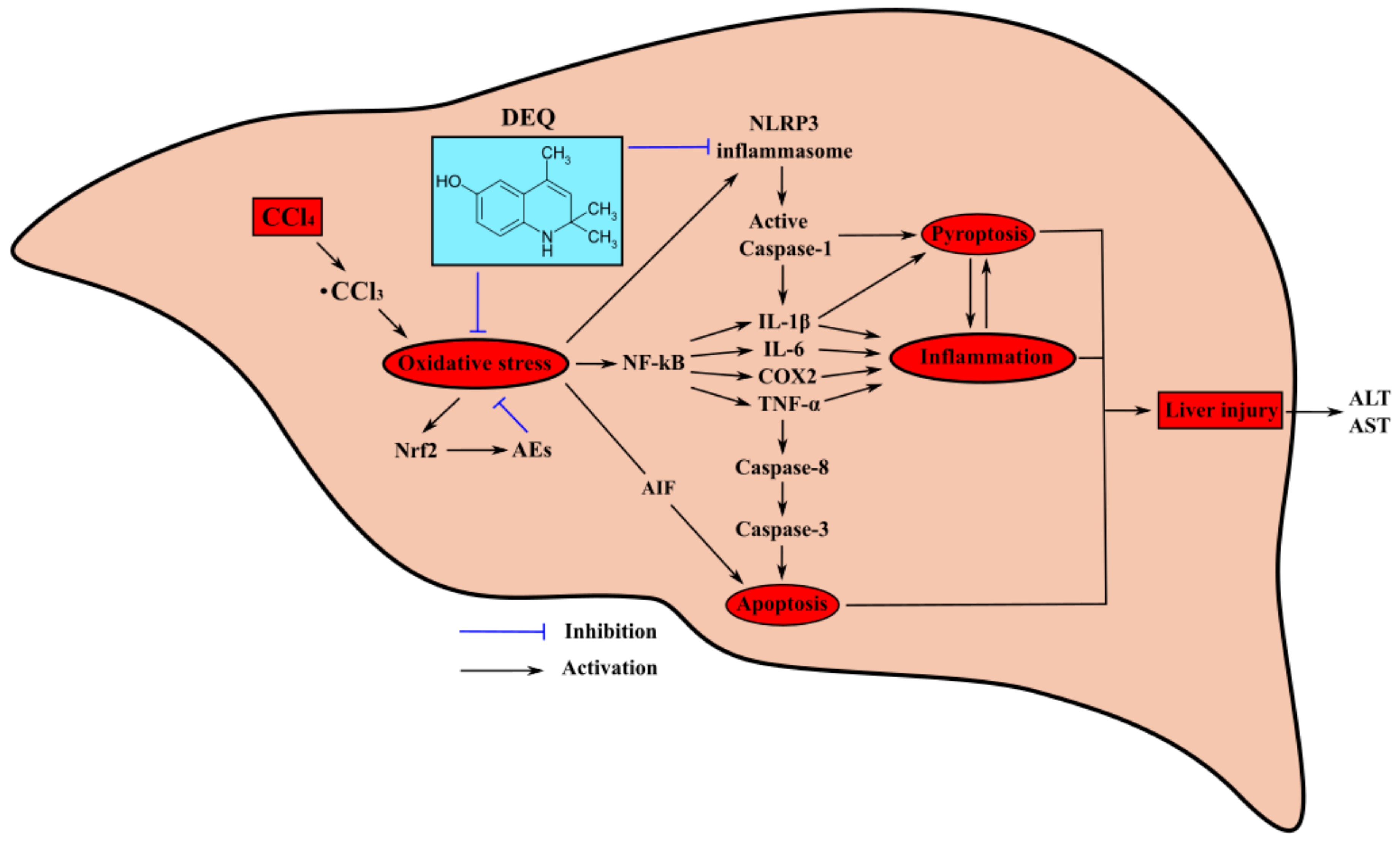 Antioxidants 10 00122 g008