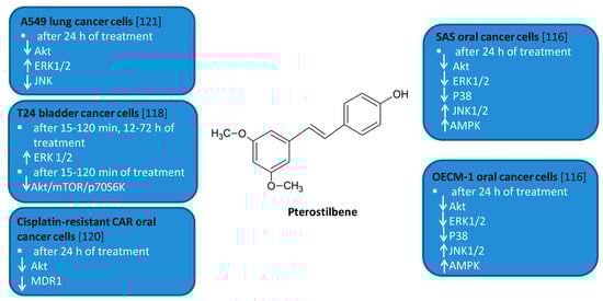 Antioxidants 10 00123 g006