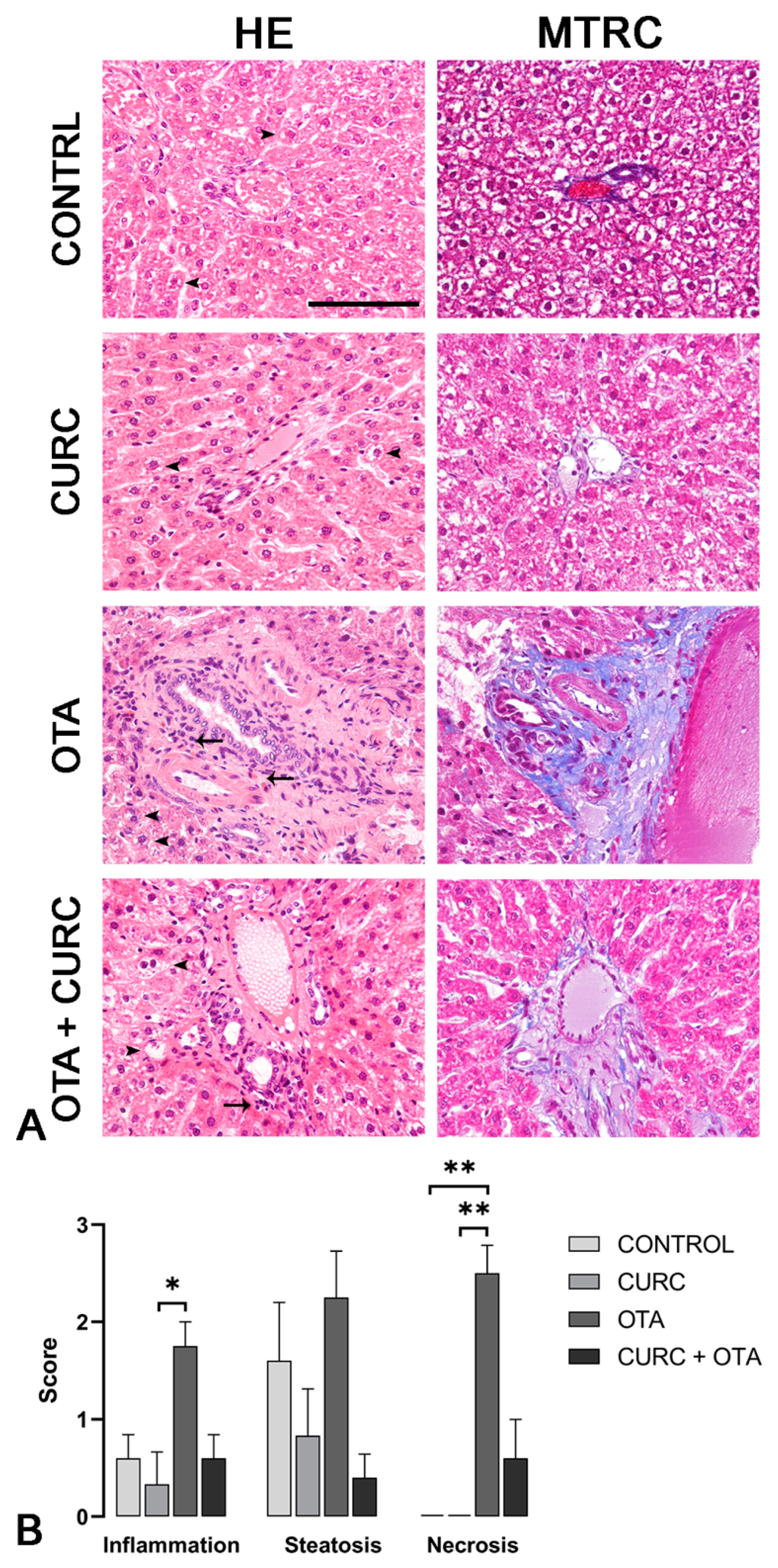 Antioxidants 10 00125 g003 Antioxidants 10 00125 g003