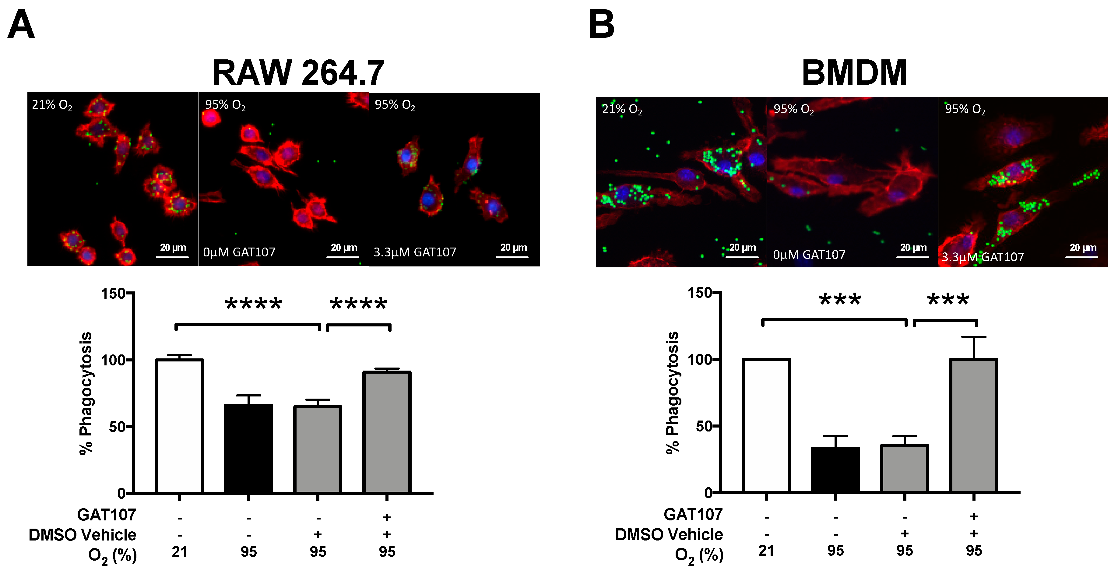 Antioxidants 10 00135 g002