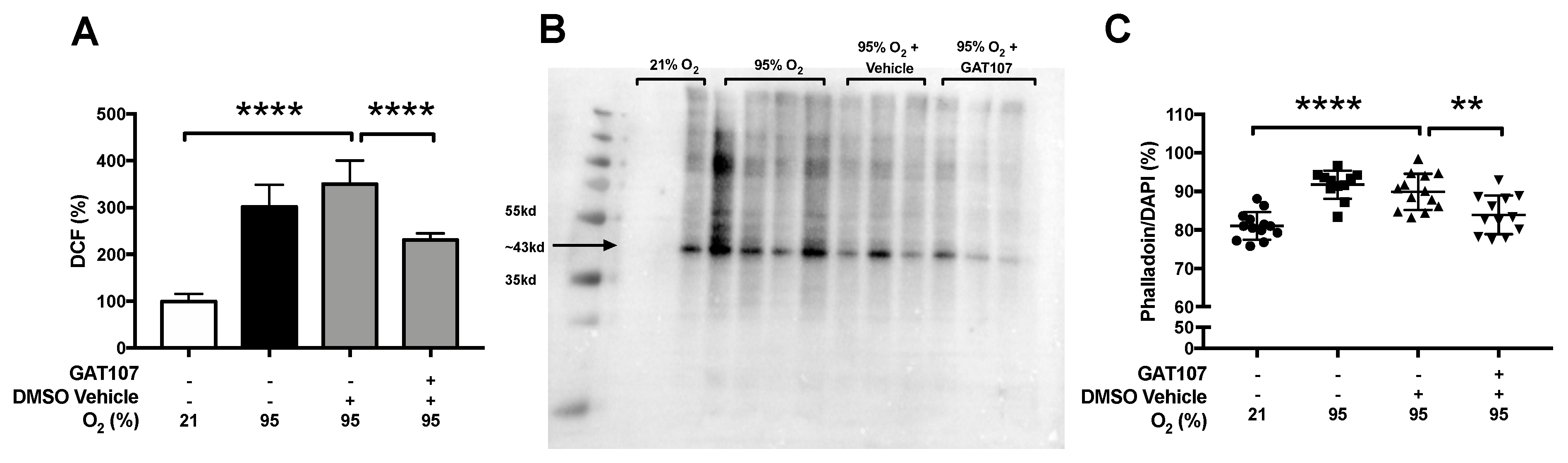 Antioxidants 10 00135 g003