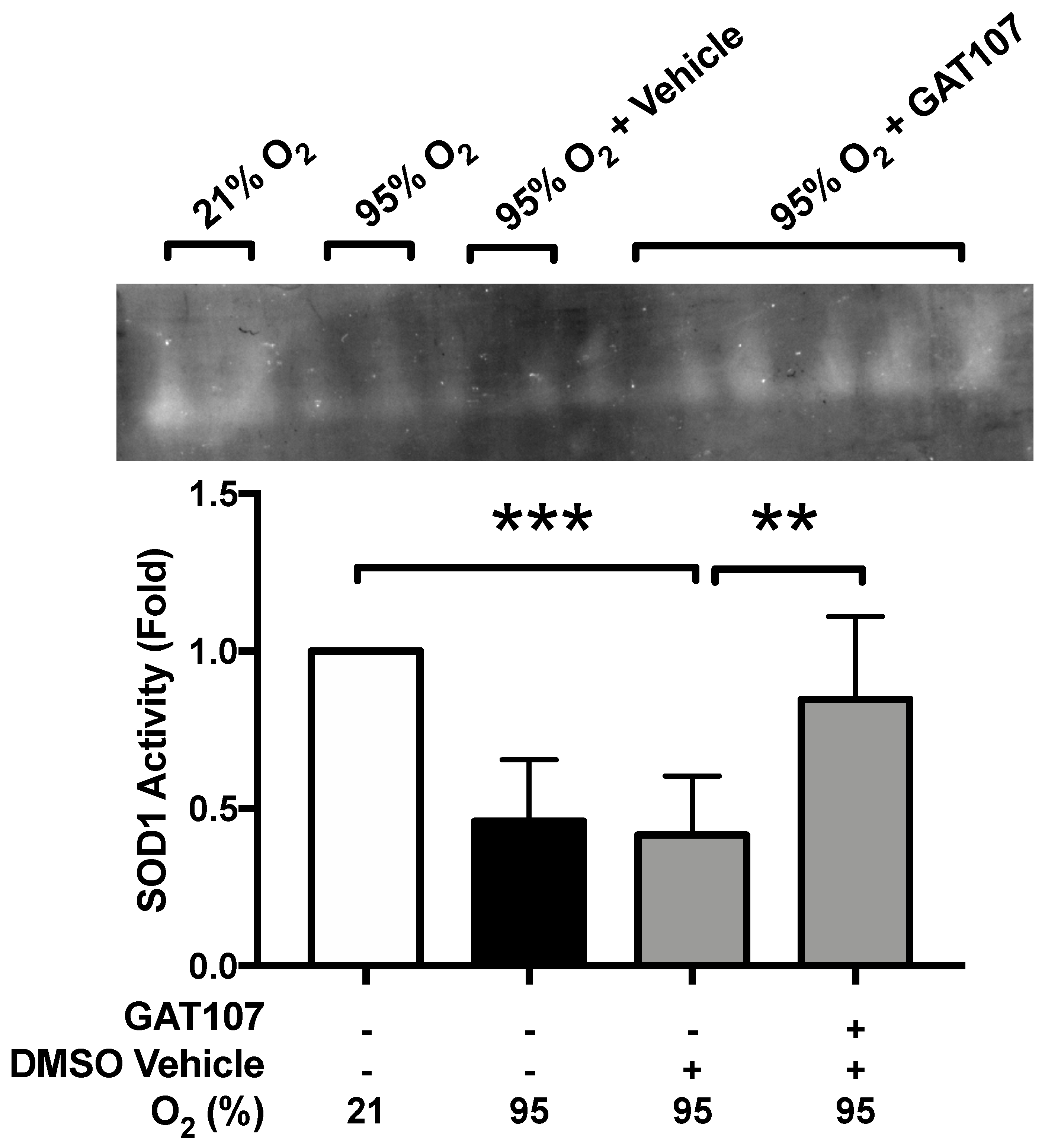 Antioxidants 10 00135 g004