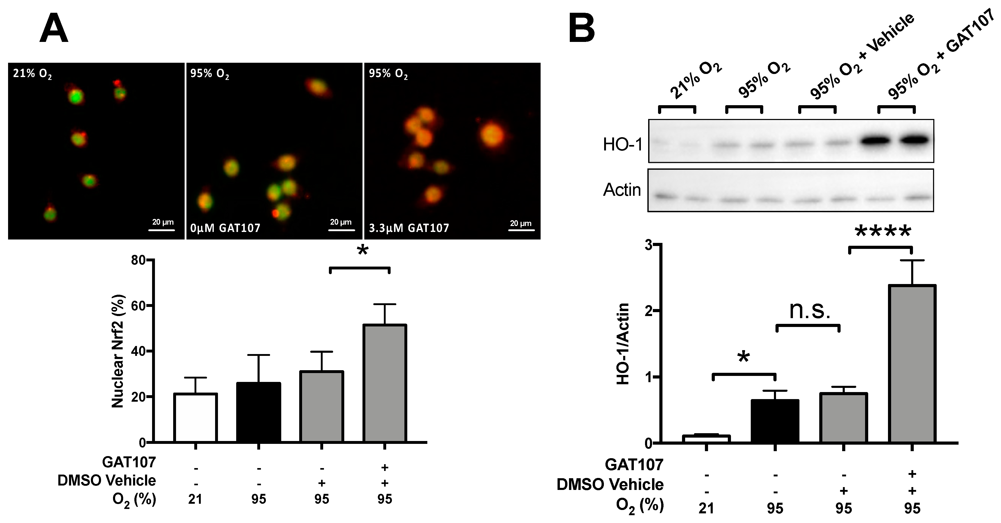 Antioxidants 10 00135 g005