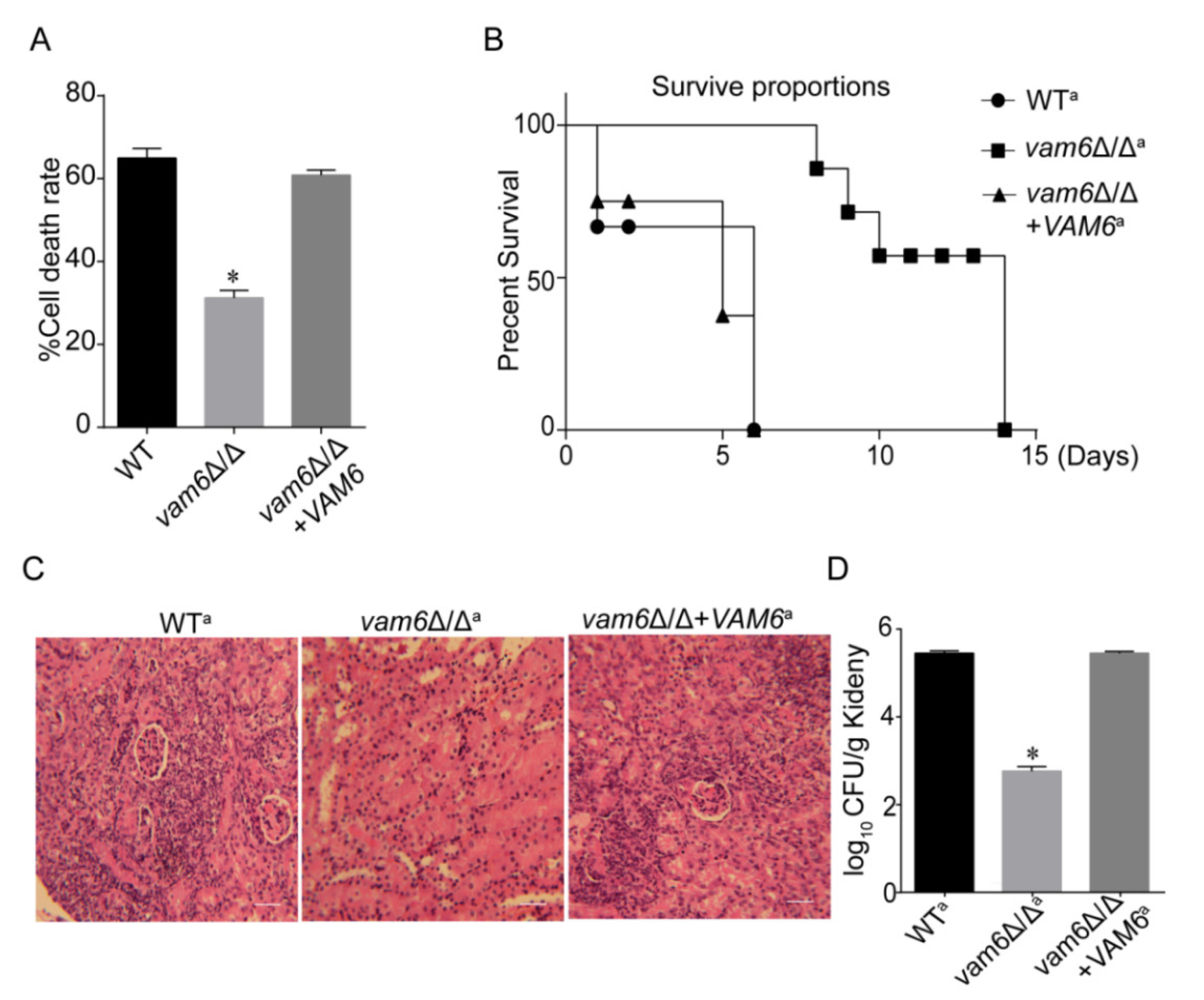 Antioxidants 10 00136 g008