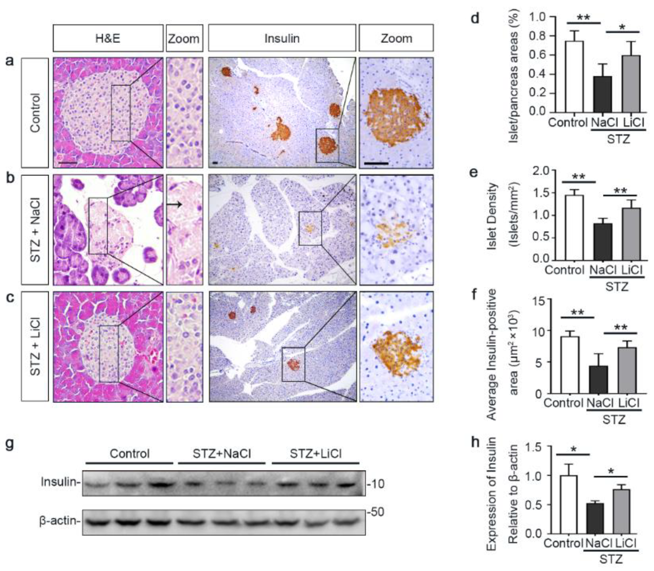 Antioxidants 10 00138 g002 Antioxidants 10 00138 g002