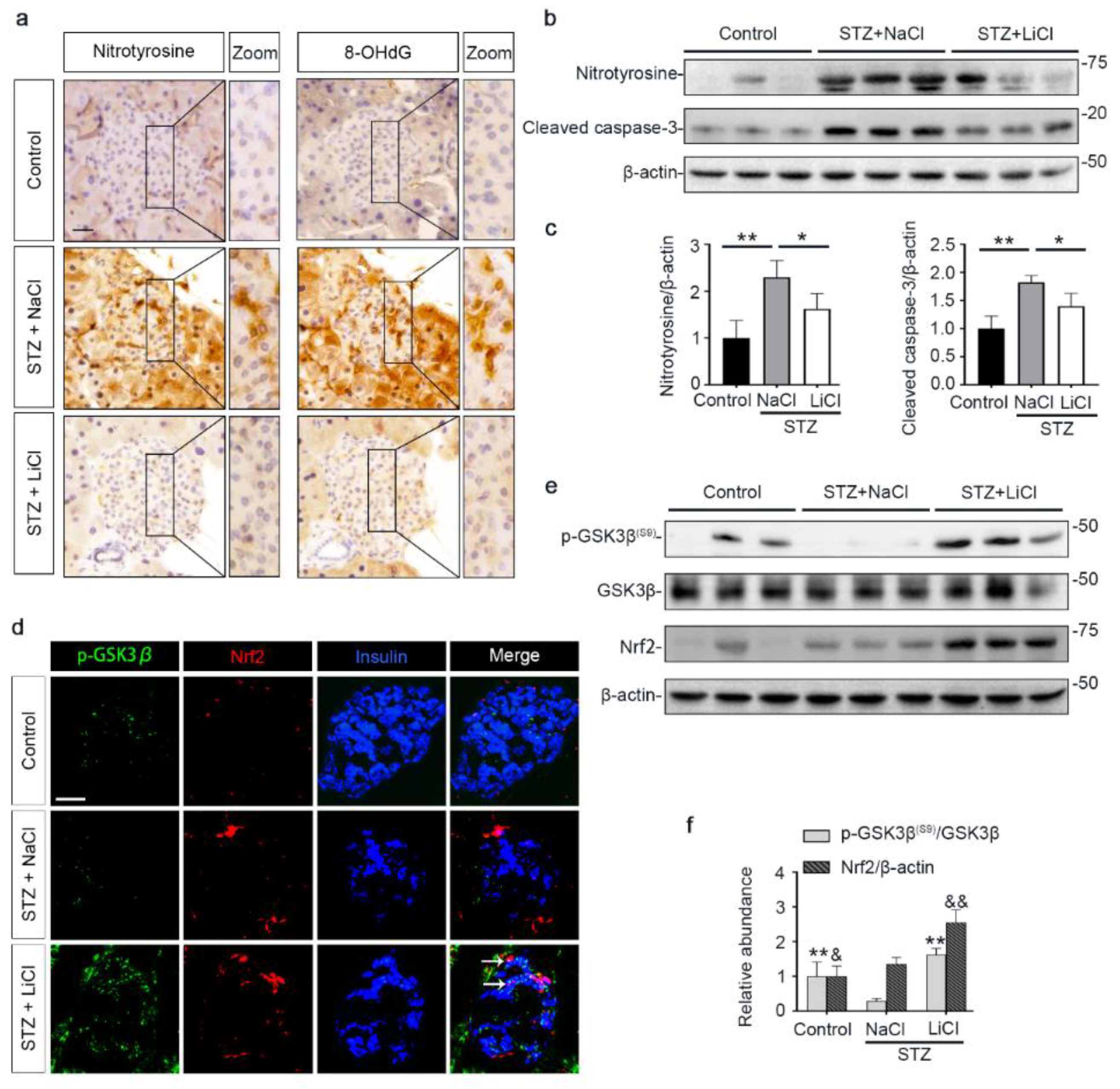 Antioxidants 10 00138 g003 Antioxidants 10 00138 g003