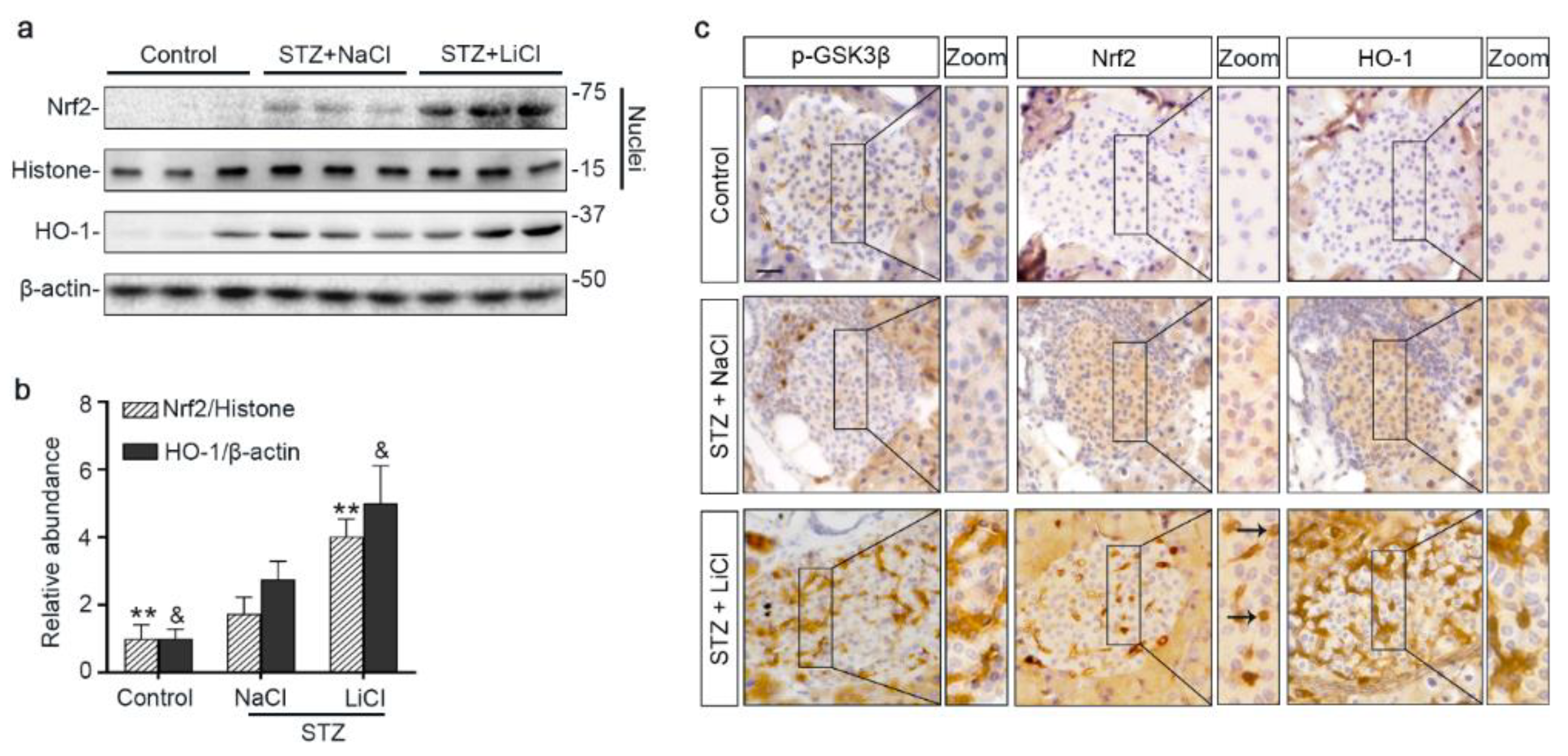 Antioxidants 10 00138 g004 Antioxidants 10 00138 g004