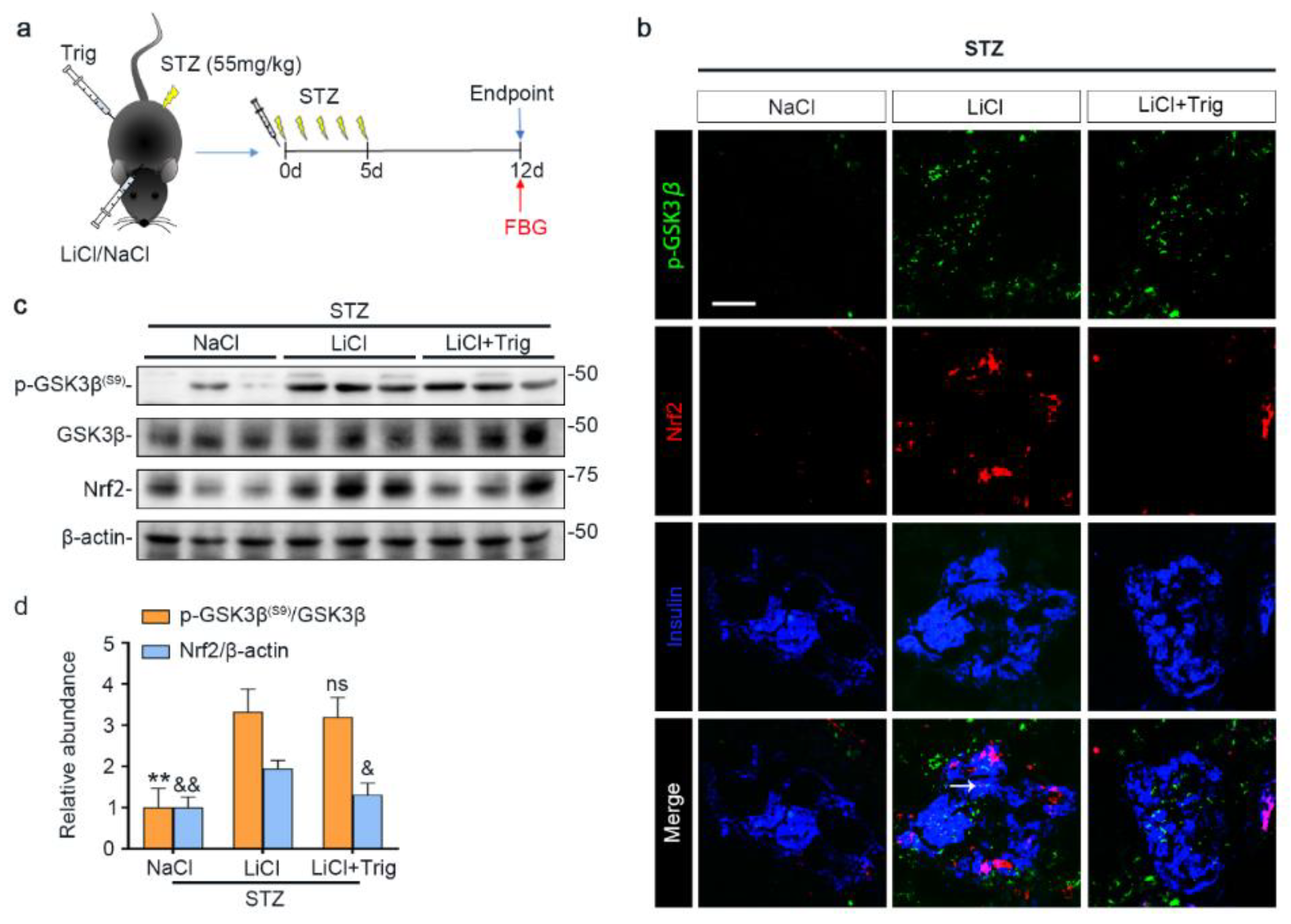 Antioxidants 10 00138 g005 Antioxidants 10 00138 g005
