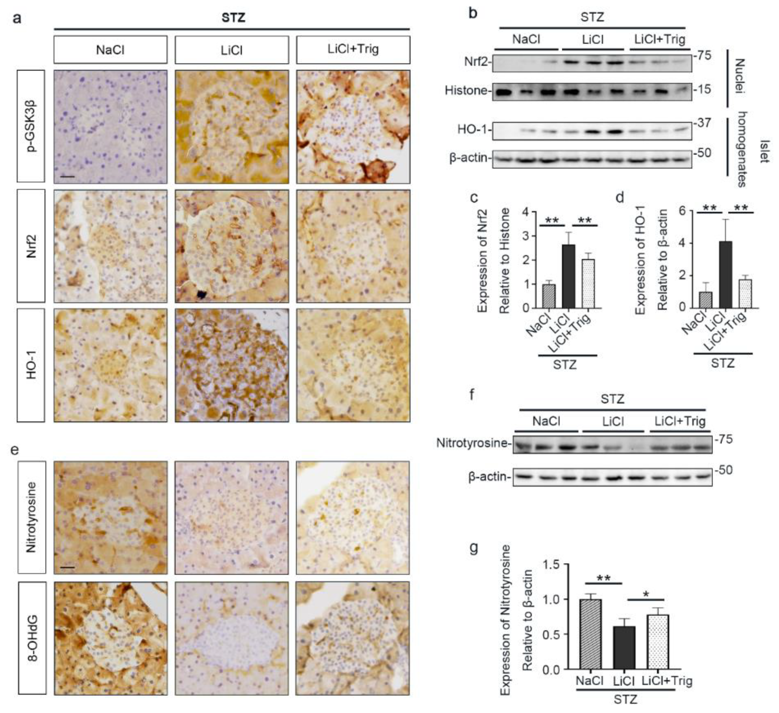 Antioxidants 10 00138 g006 Antioxidants 10 00138 g006