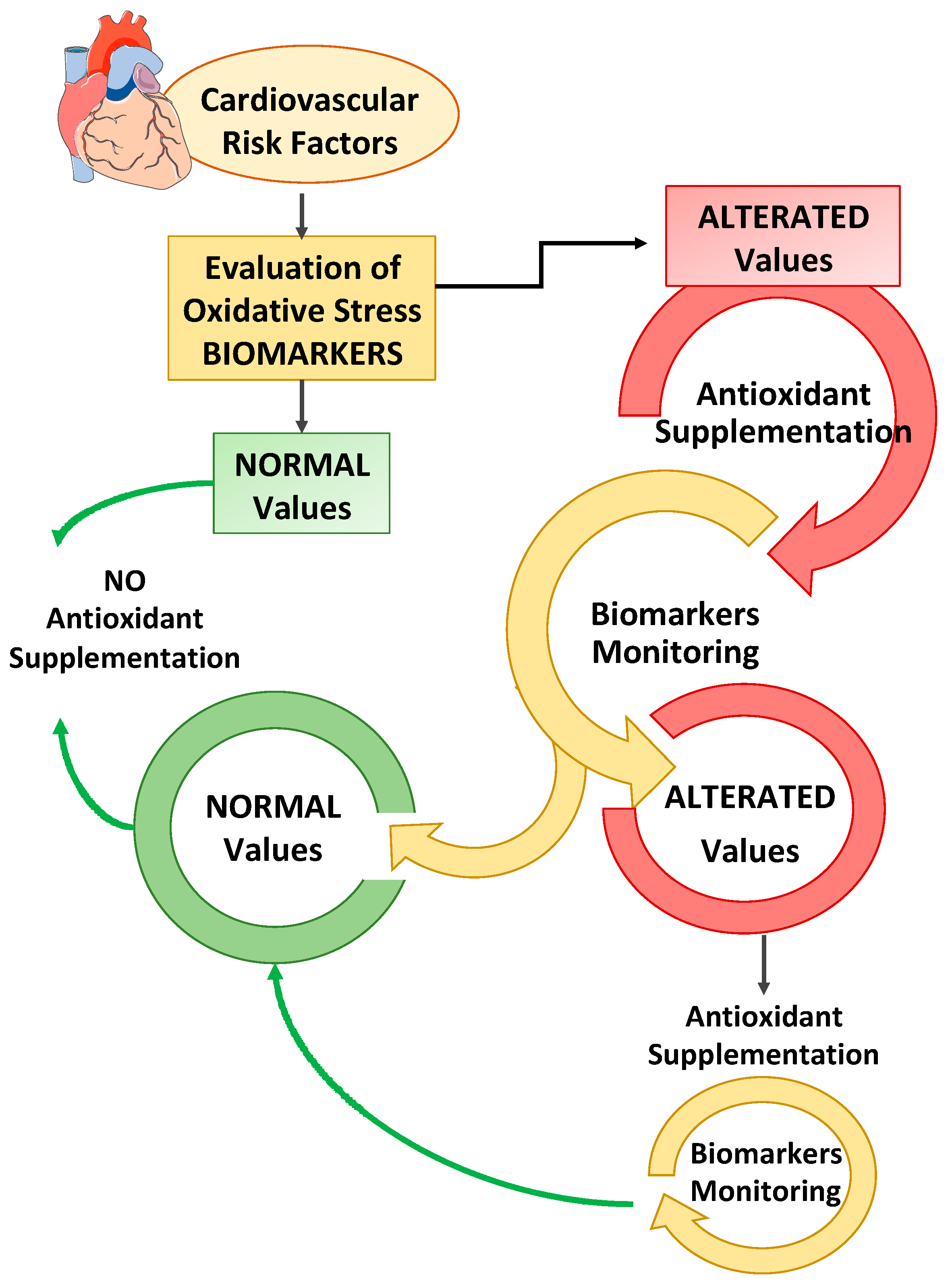 Antioxidants 10 00146 g002