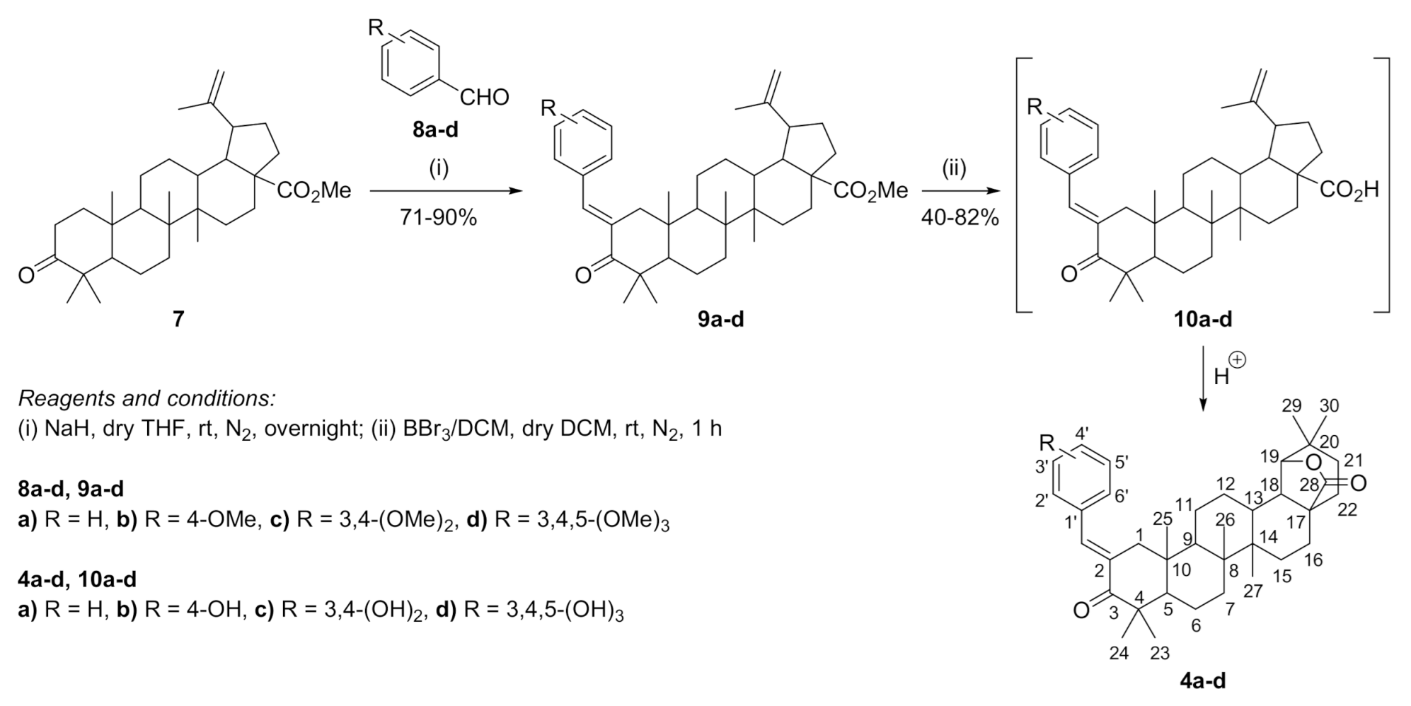 Antioxidants 10 00148 sch003
