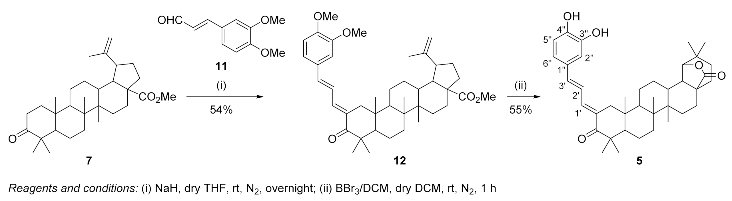 Antioxidants 10 00148 sch005