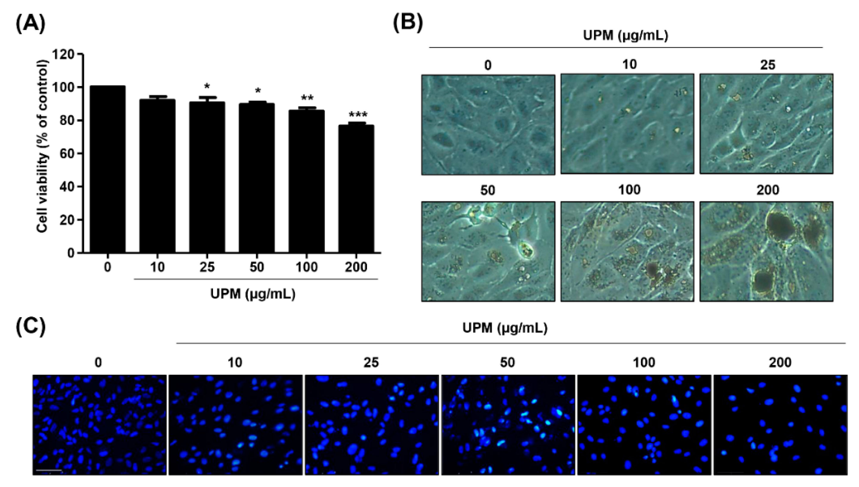 Antioxidants 10 00149 g001